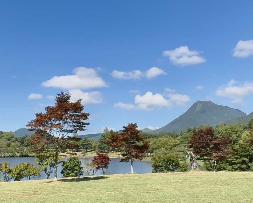 Gサイト8月中旬