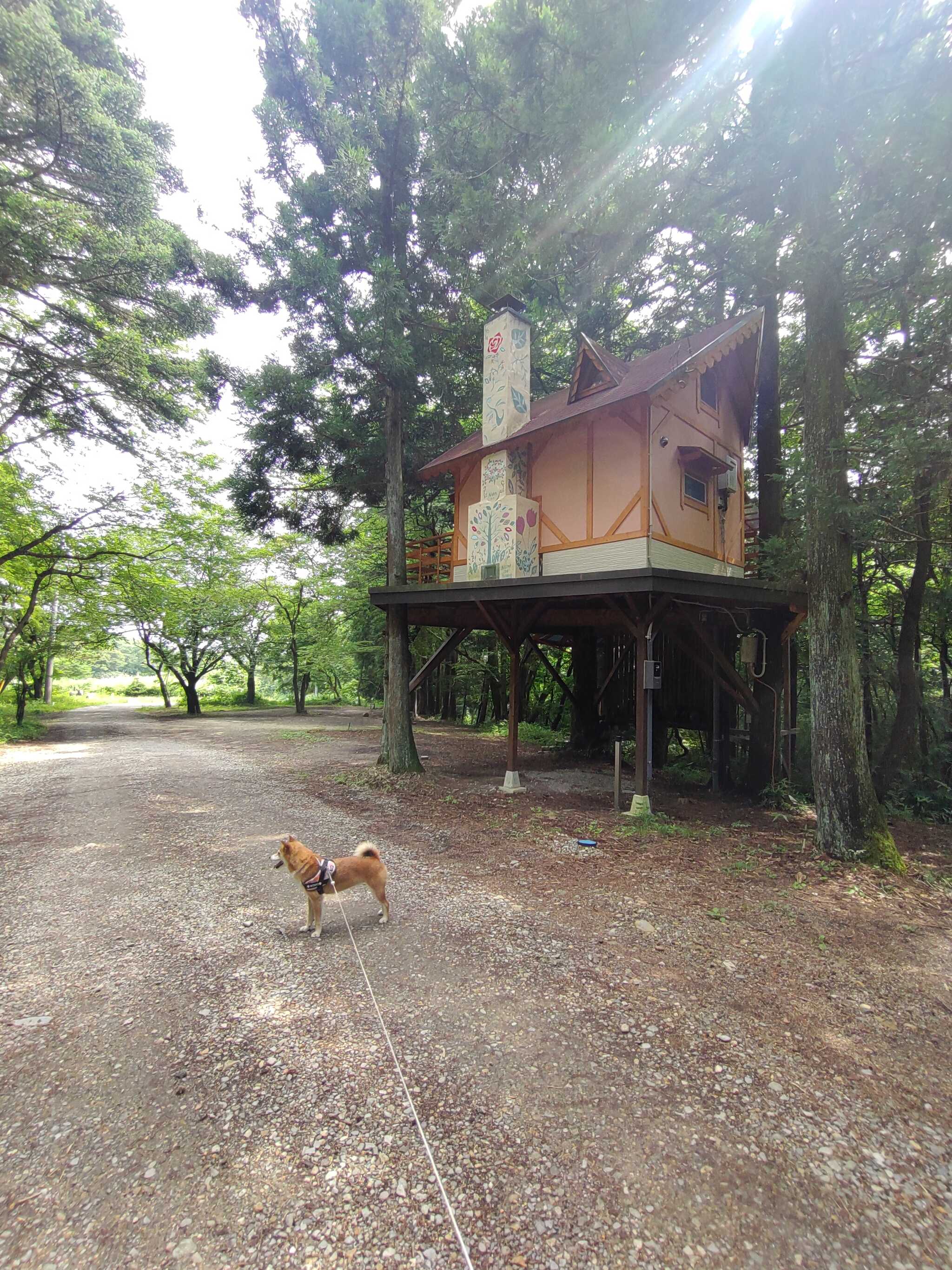 那須高原ITAMUROキャンプ場の口コミ投稿写真