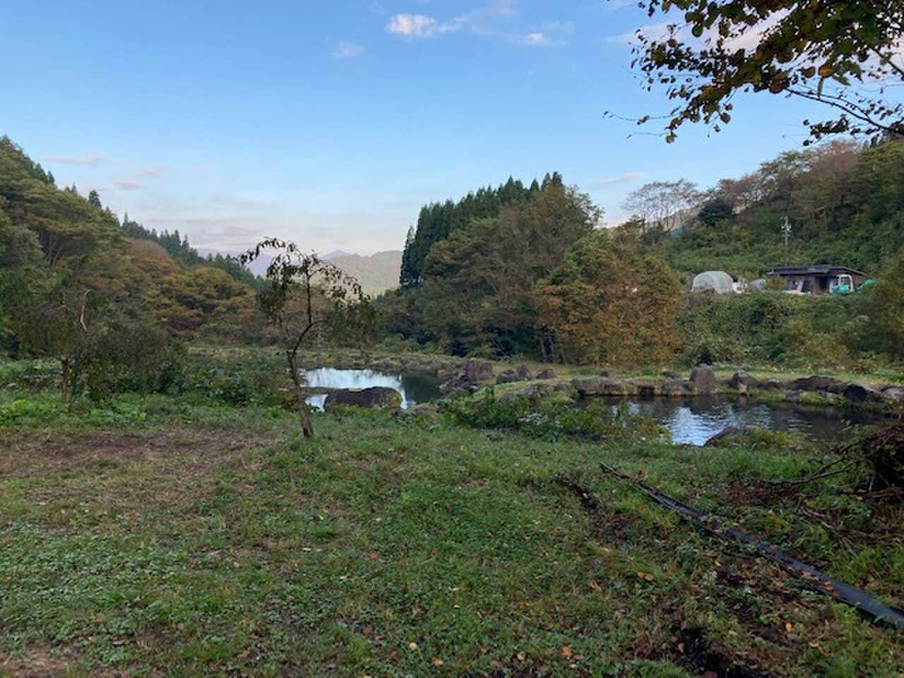 池