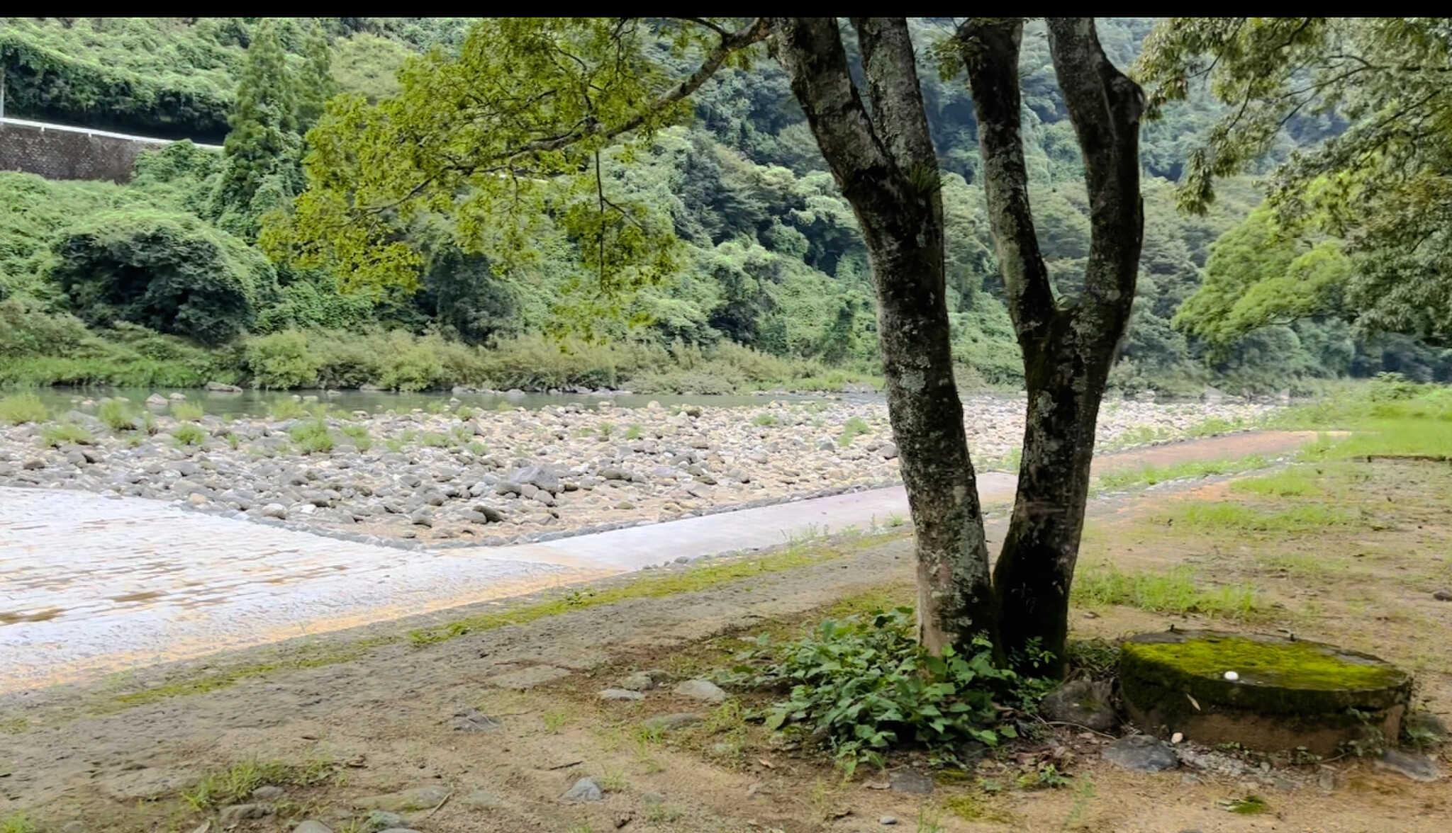 サイトから見える景色