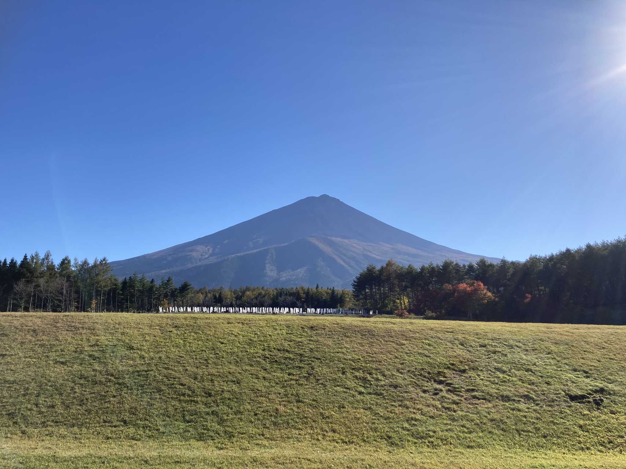 全国植樹記念広場