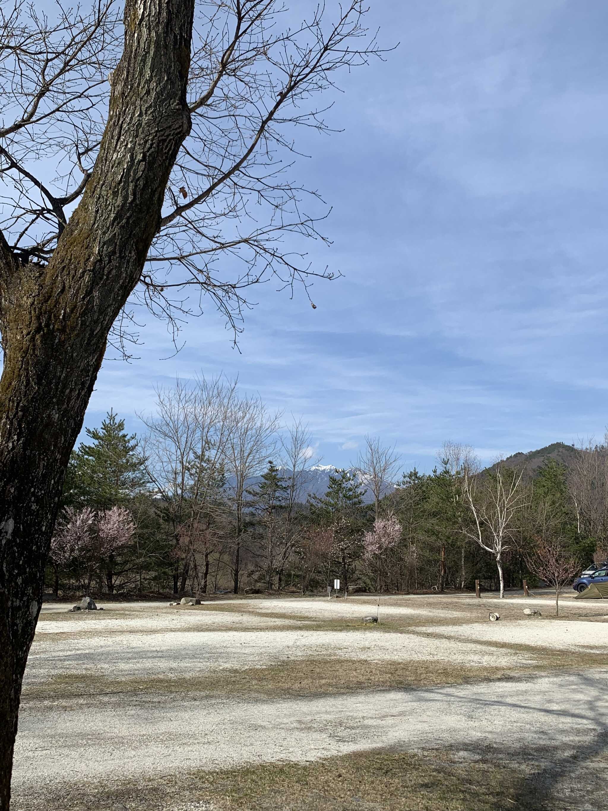 林間サイトよりの八ヶ岳の景色