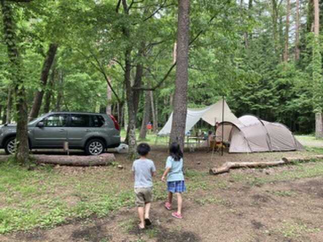 サイト風景