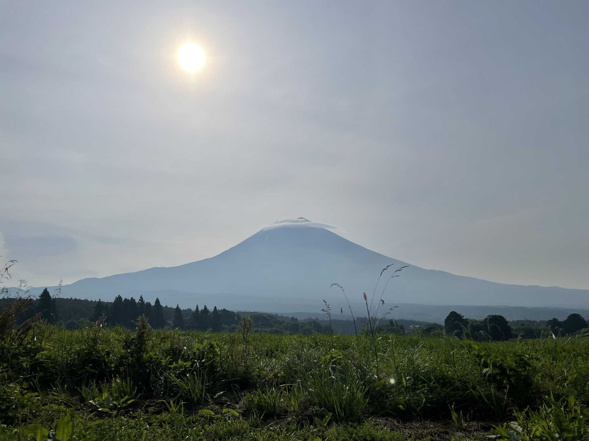富士山!