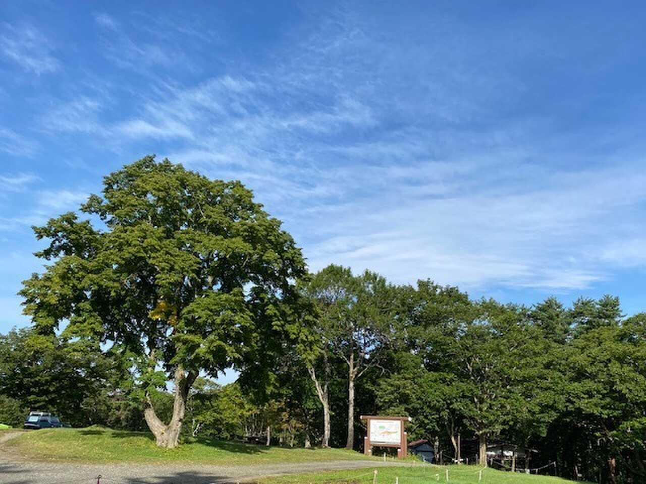 蔵王坊平国設野営場の写真 2枚目
