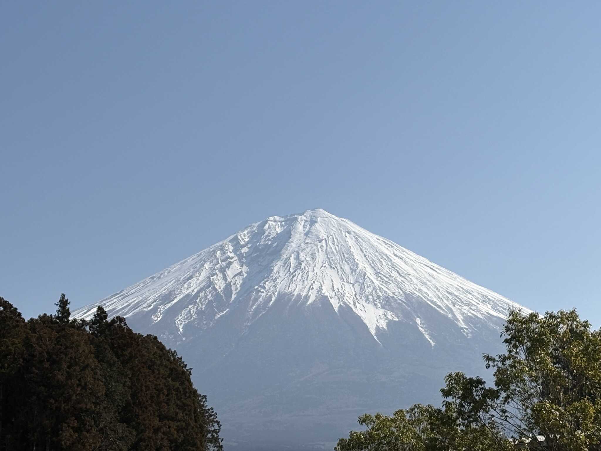サイトから見える富士山