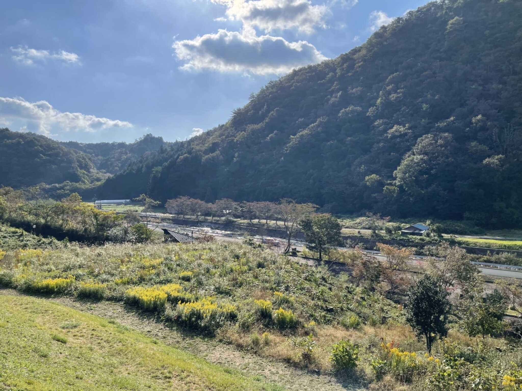 秋の風景