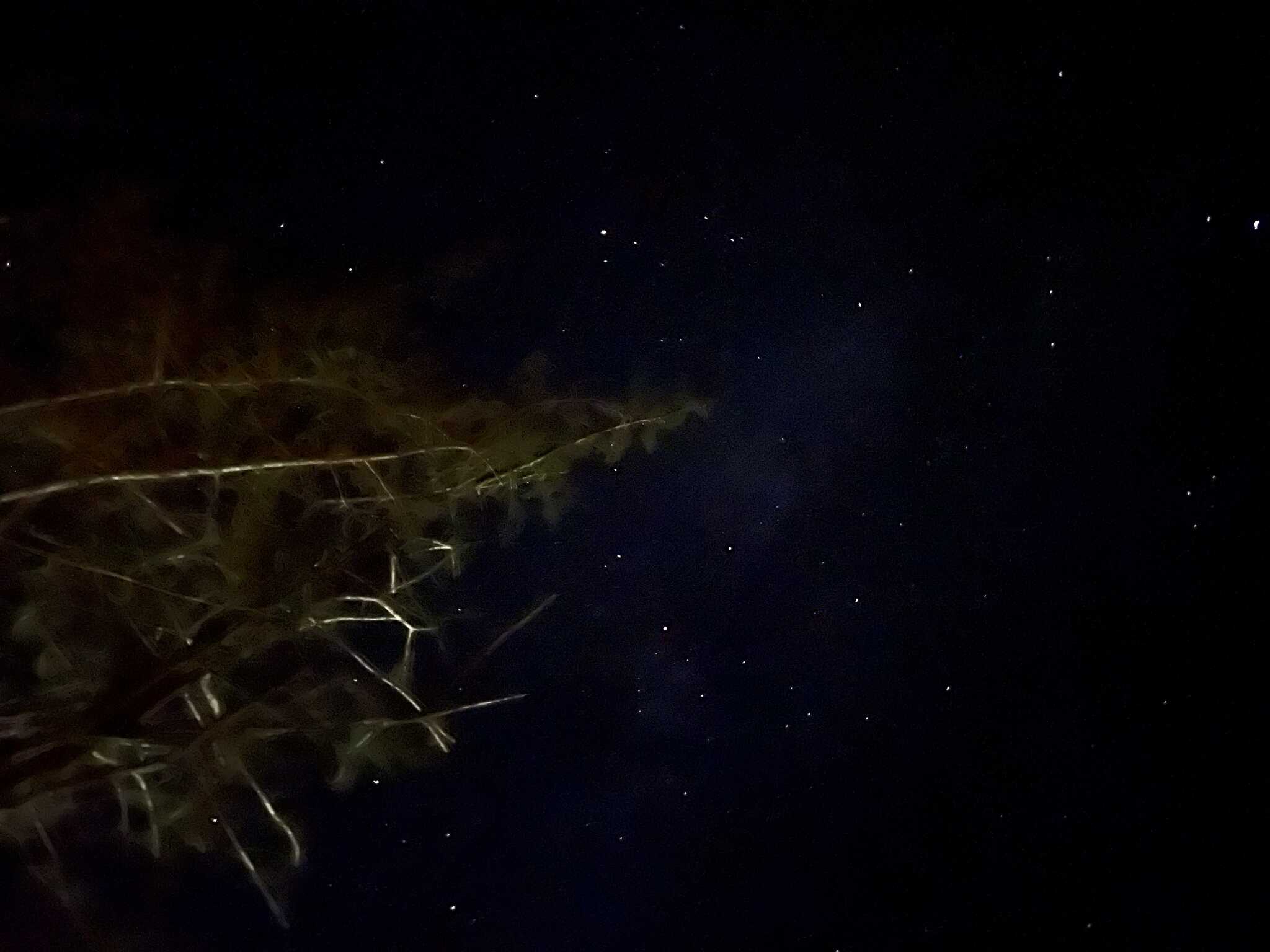 夜の星空。