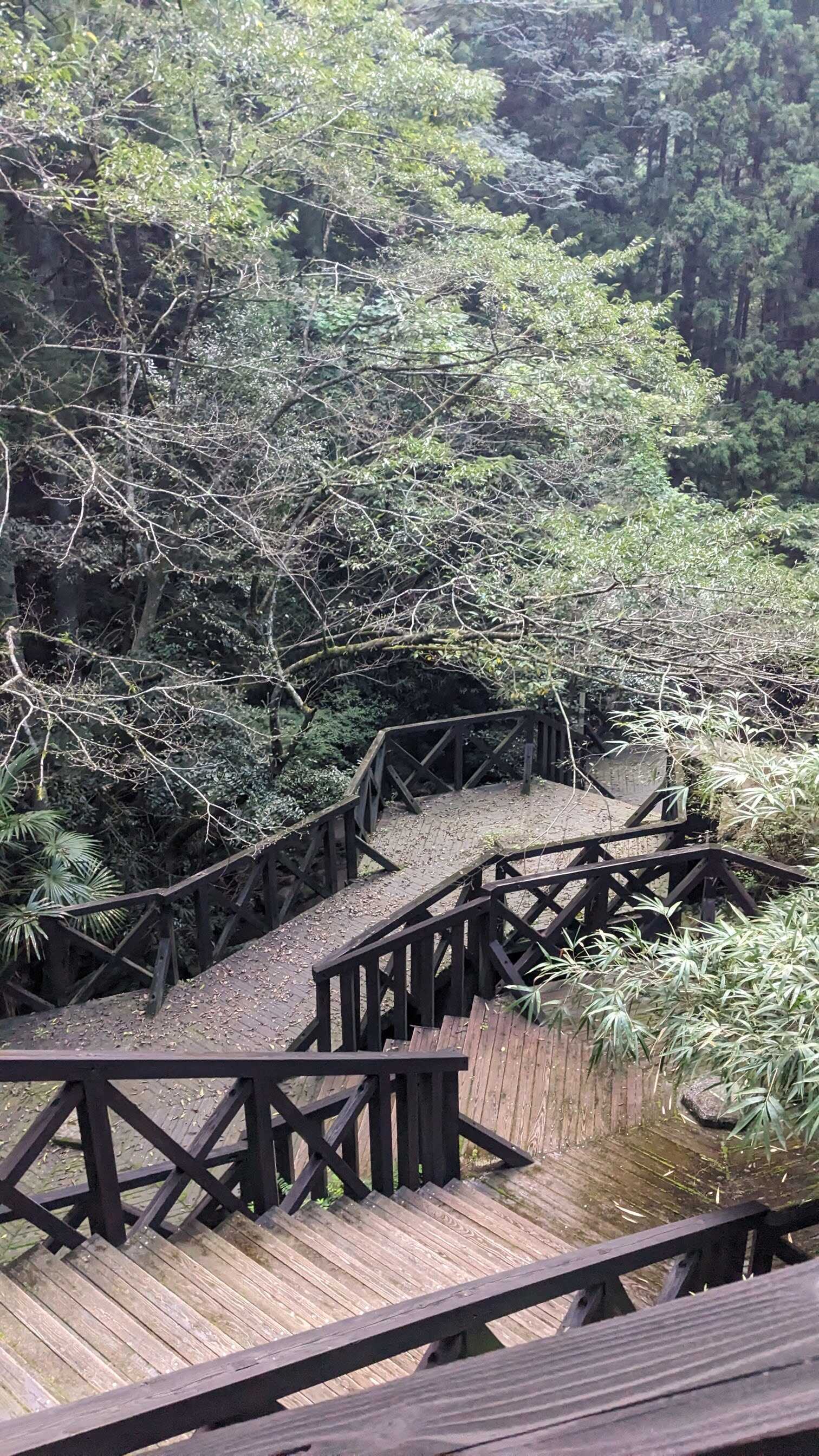 渓流