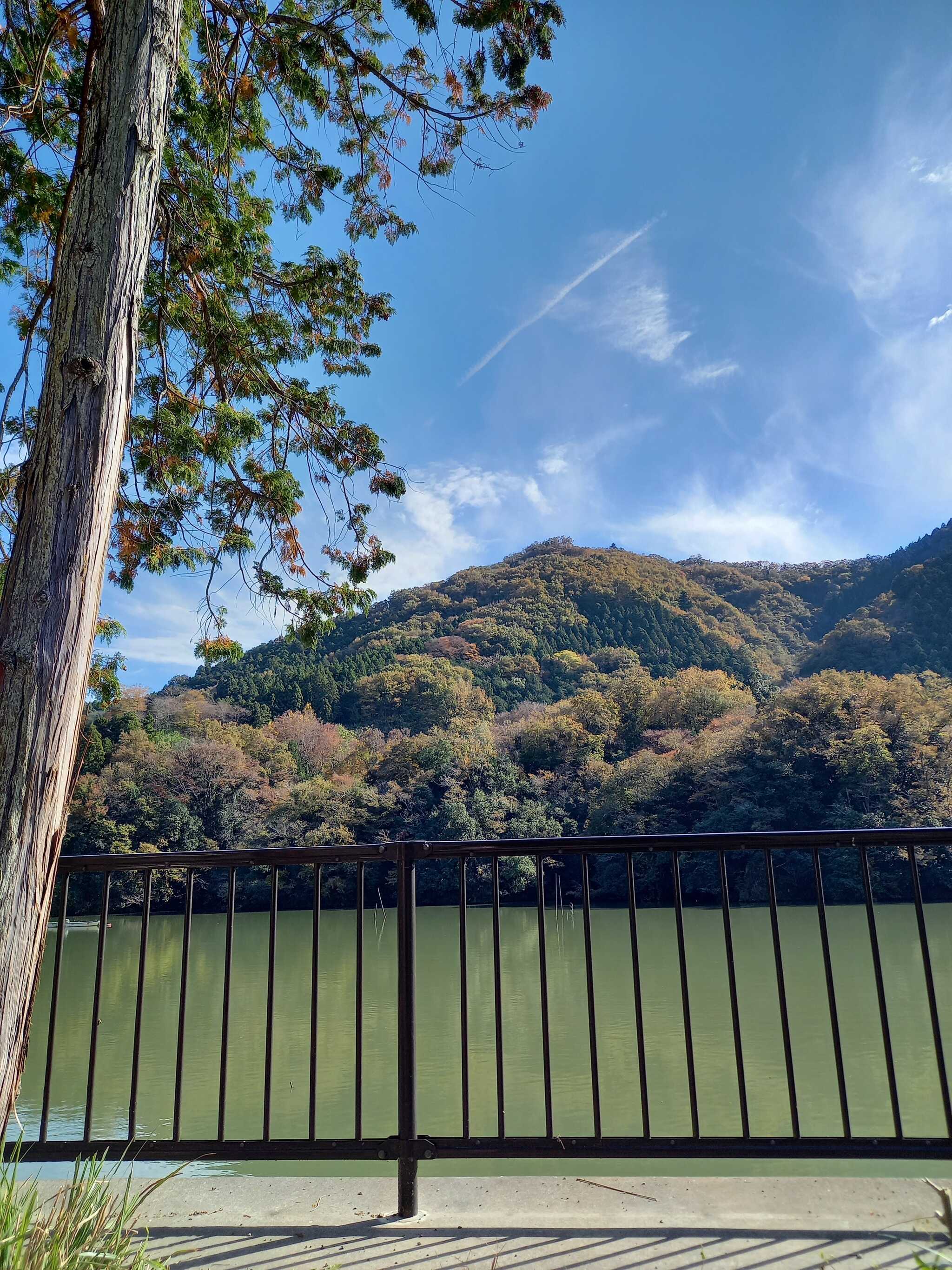 秋山川キャンプ場の口コミ投稿写真