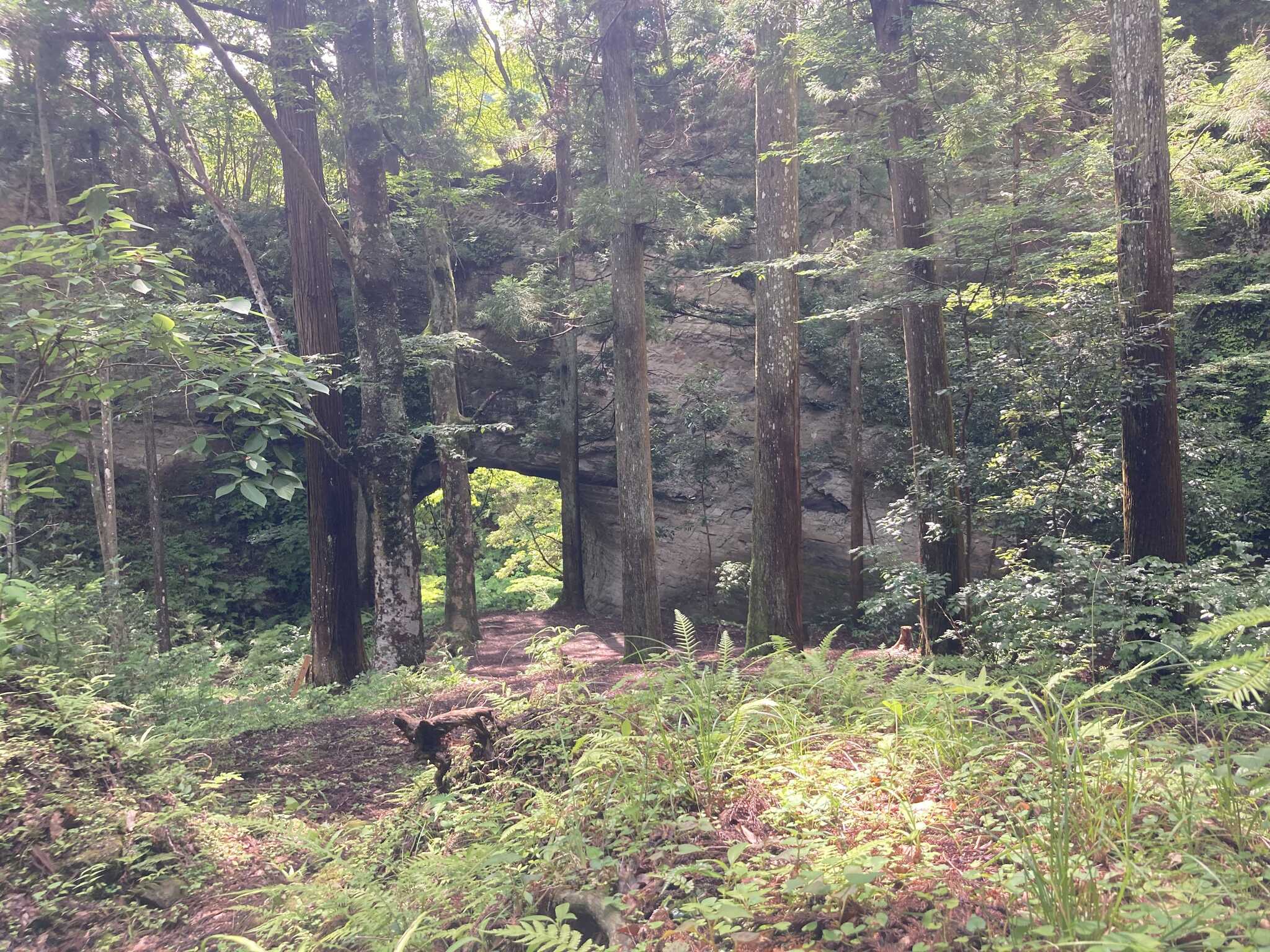 このエリア一帯で好きな場所で設営できます。