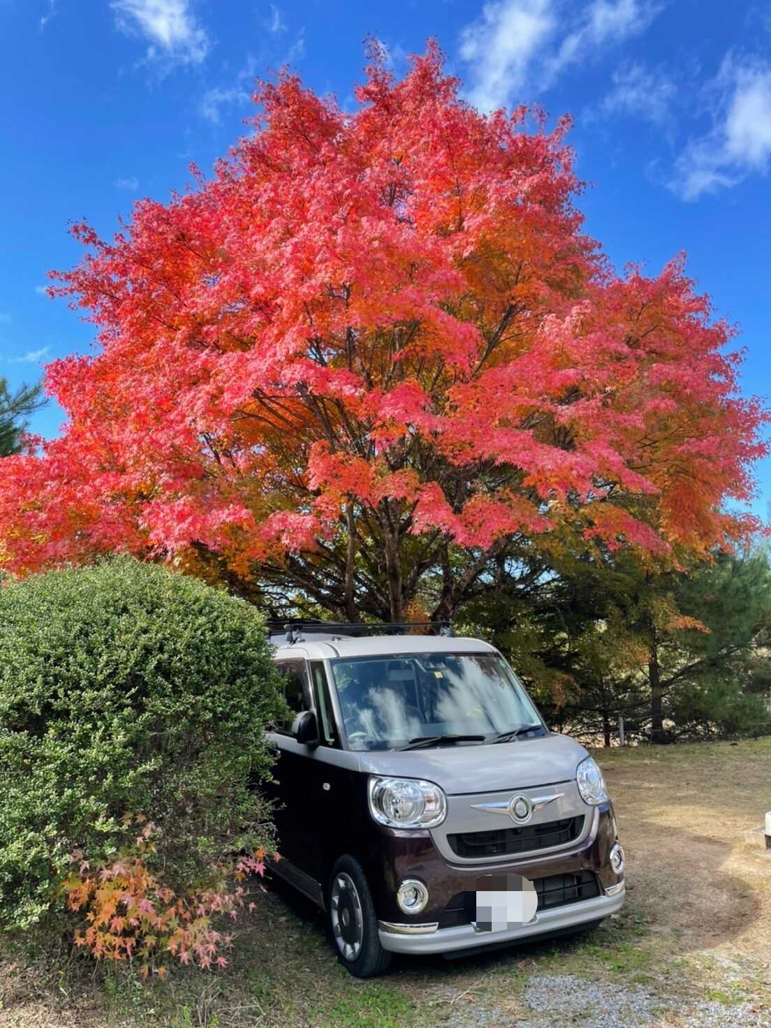 紅葉もキレイ