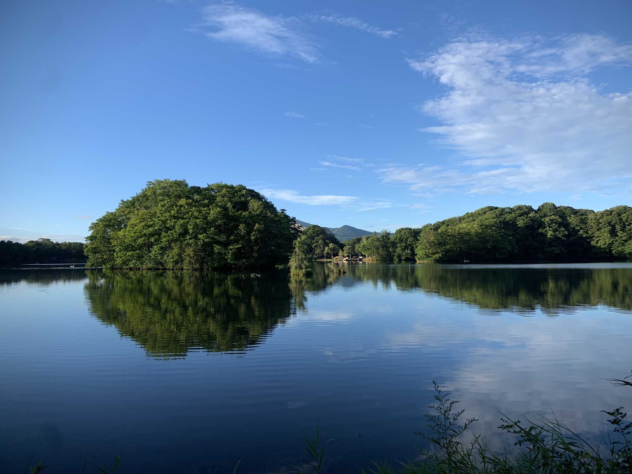 朝の曽原湖