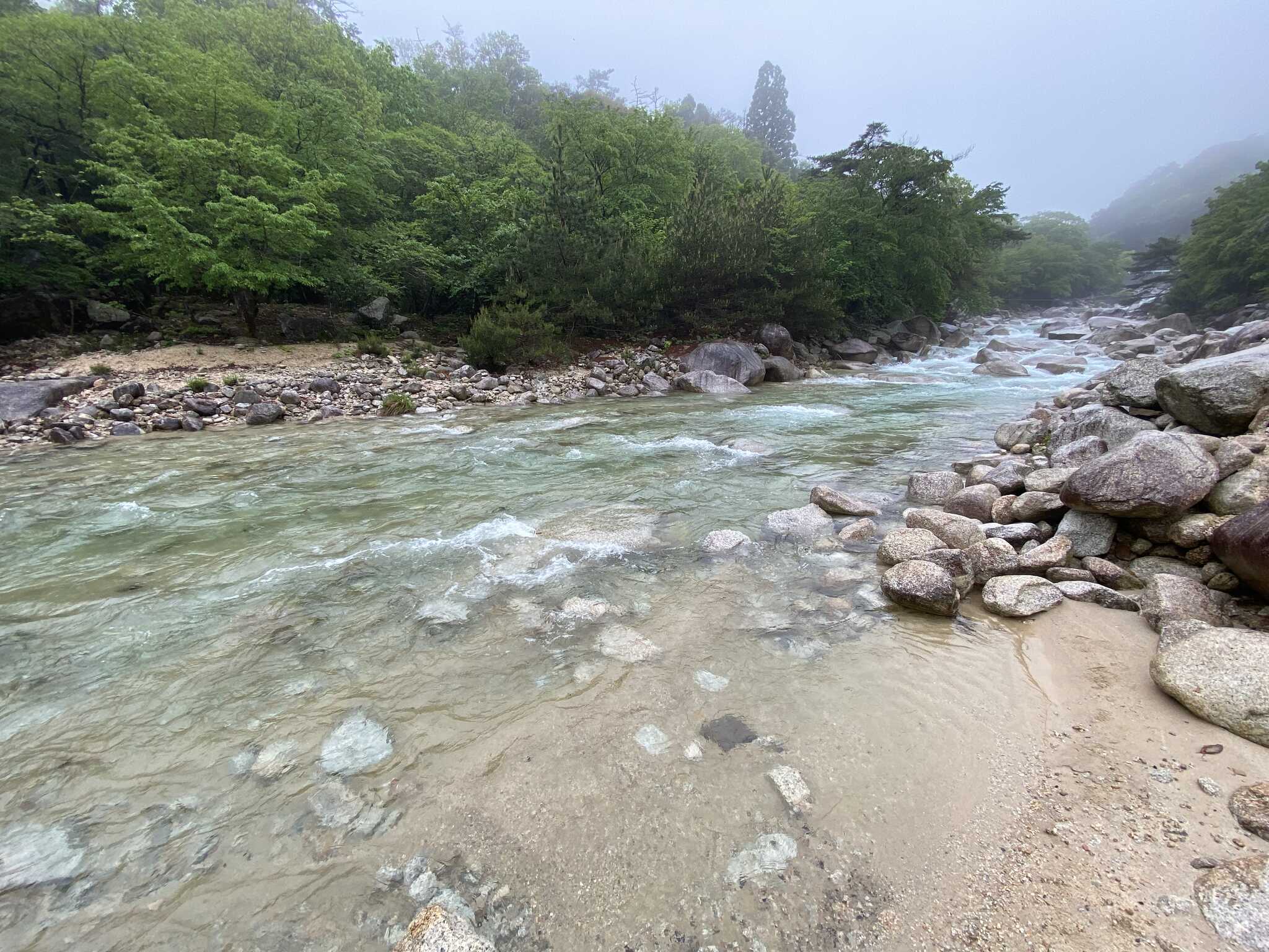 サイトのすぐ横に川遊びのできる大きな川が