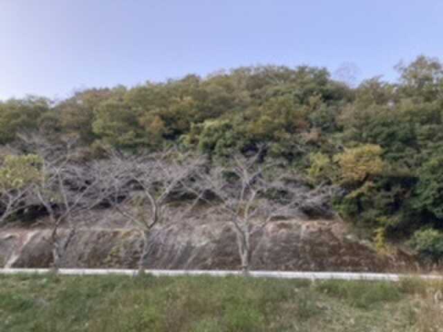 夕暮れ