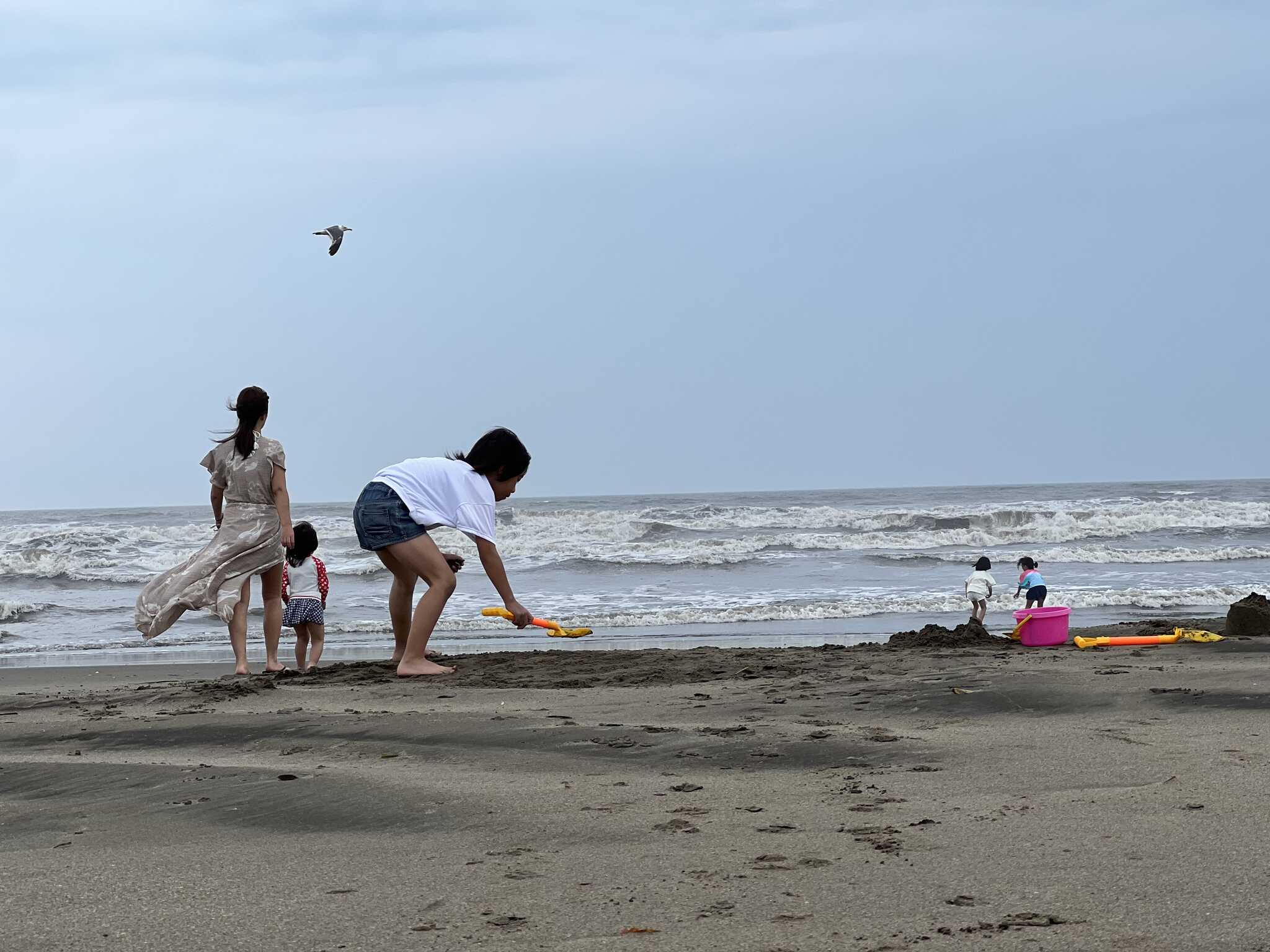 裏の海