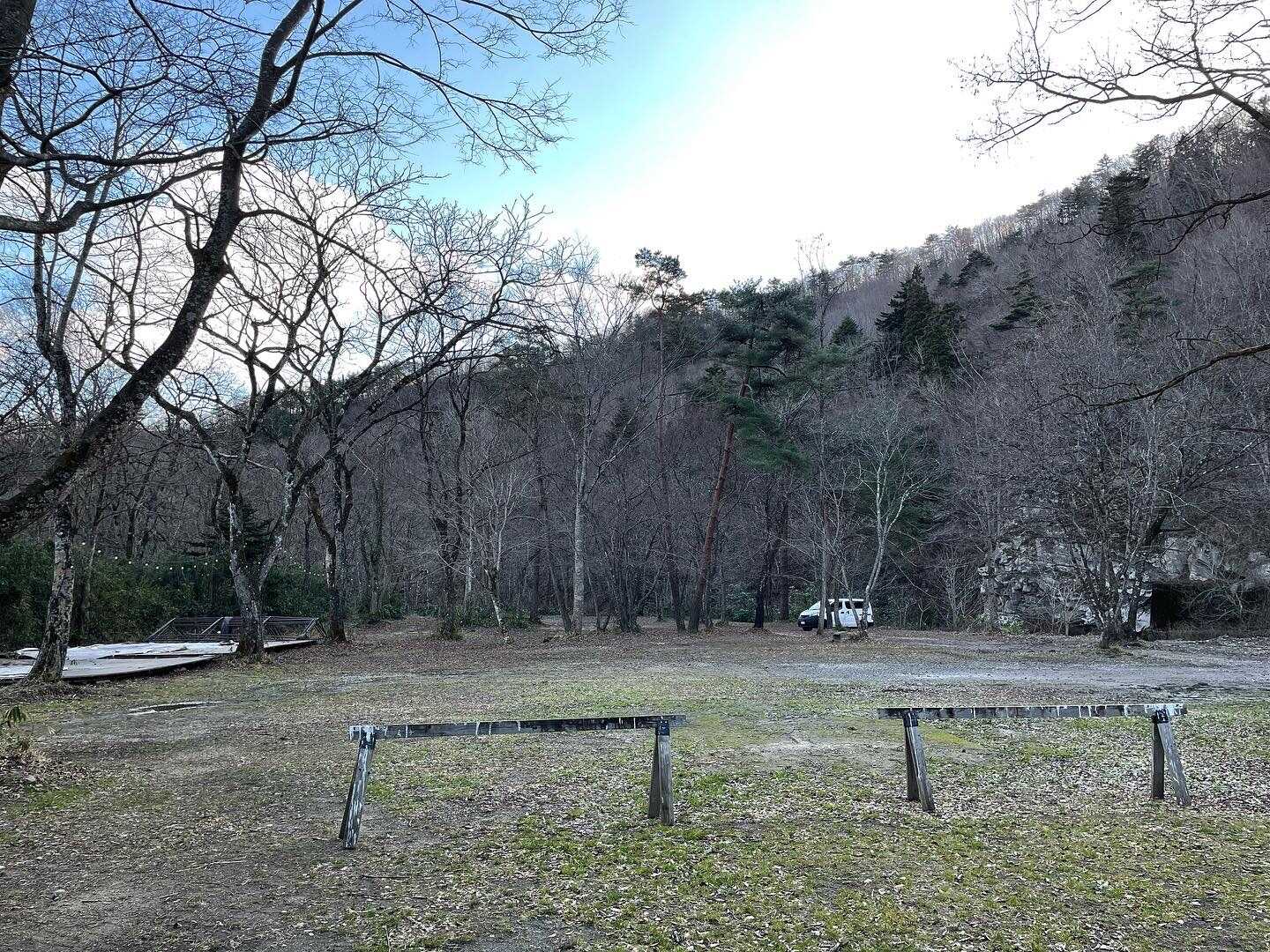 フリーサイト全景