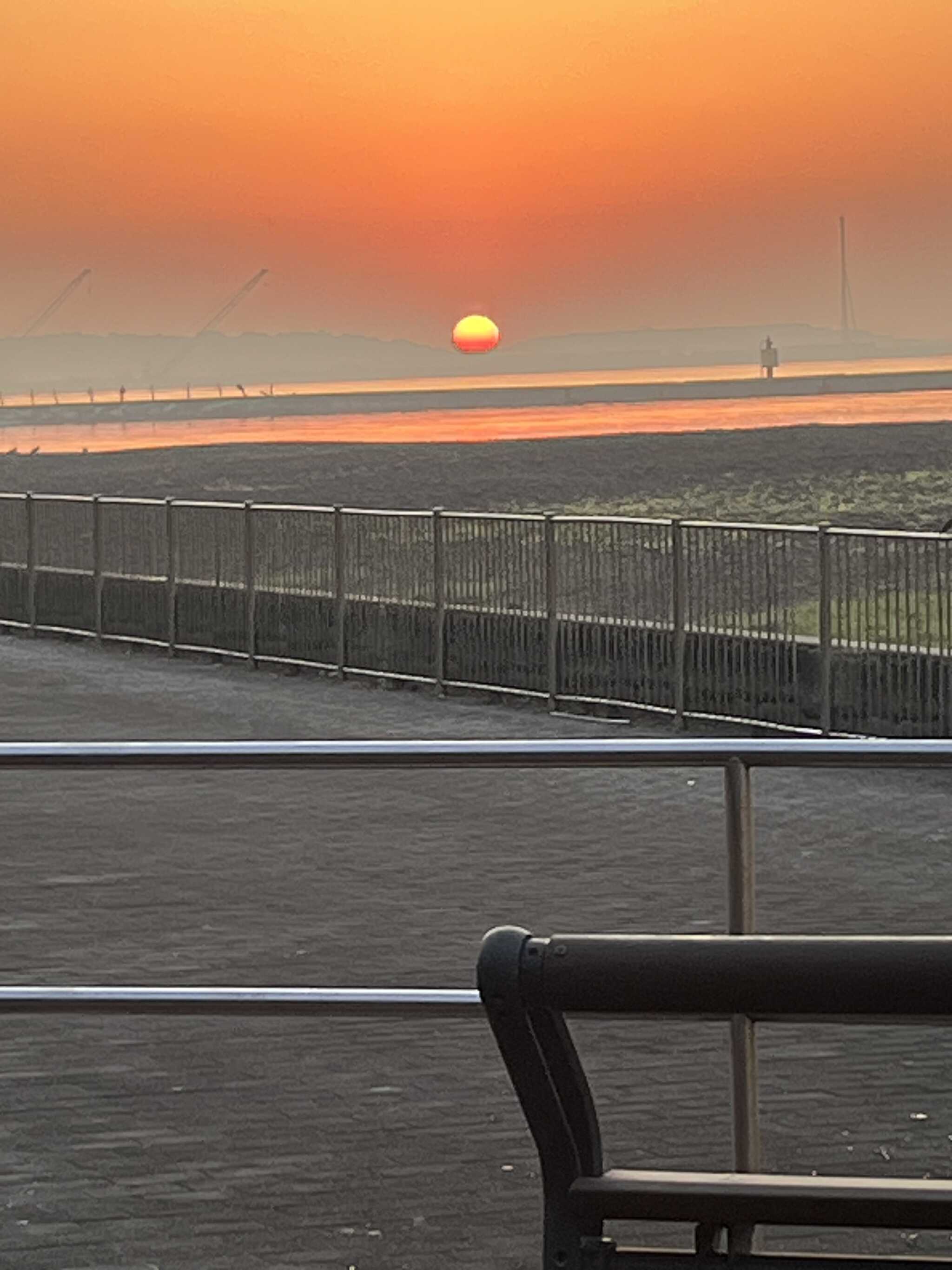 城南島海浜公園 キャンプ場の写真 5枚目