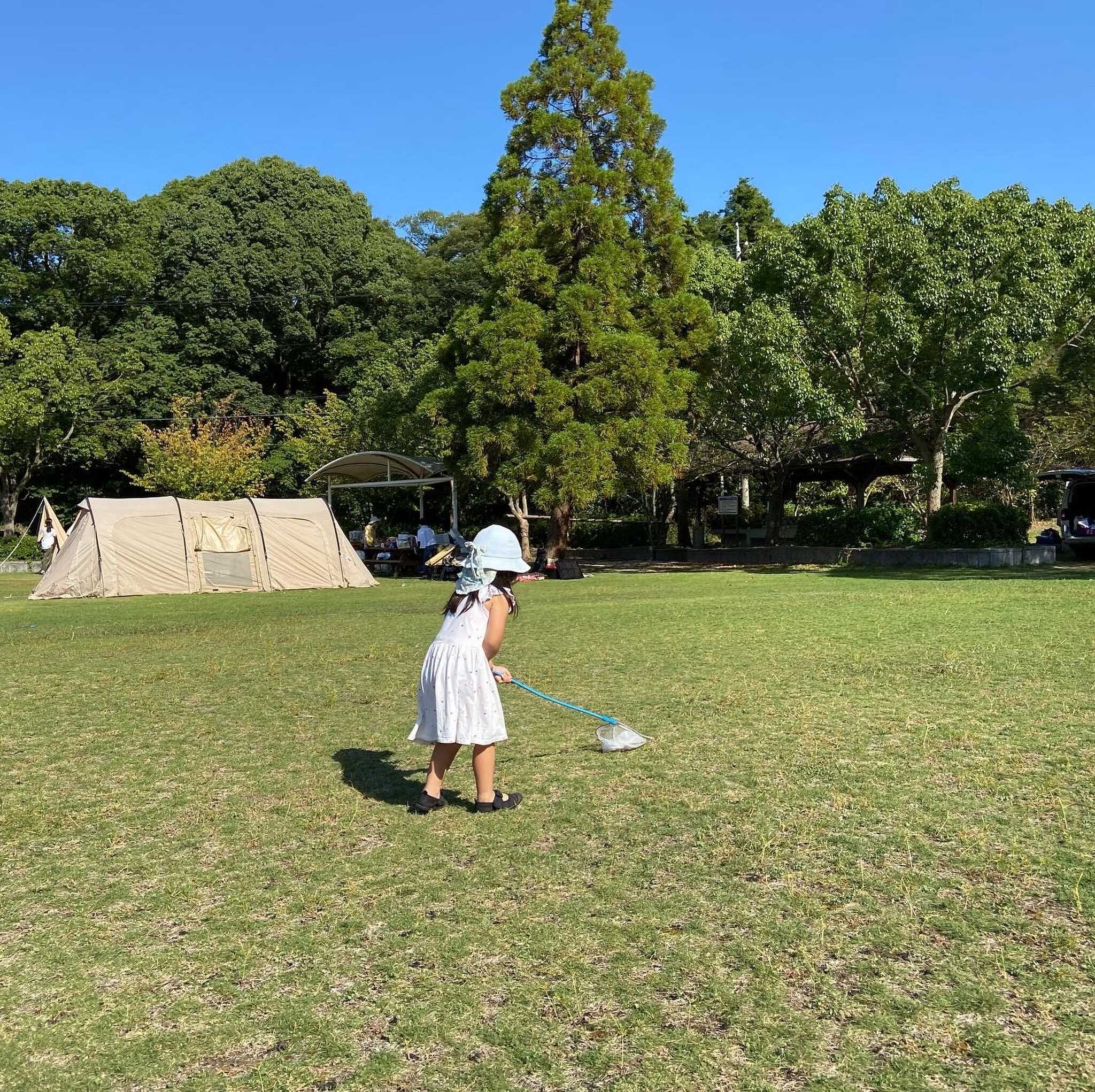 秋の虫取り