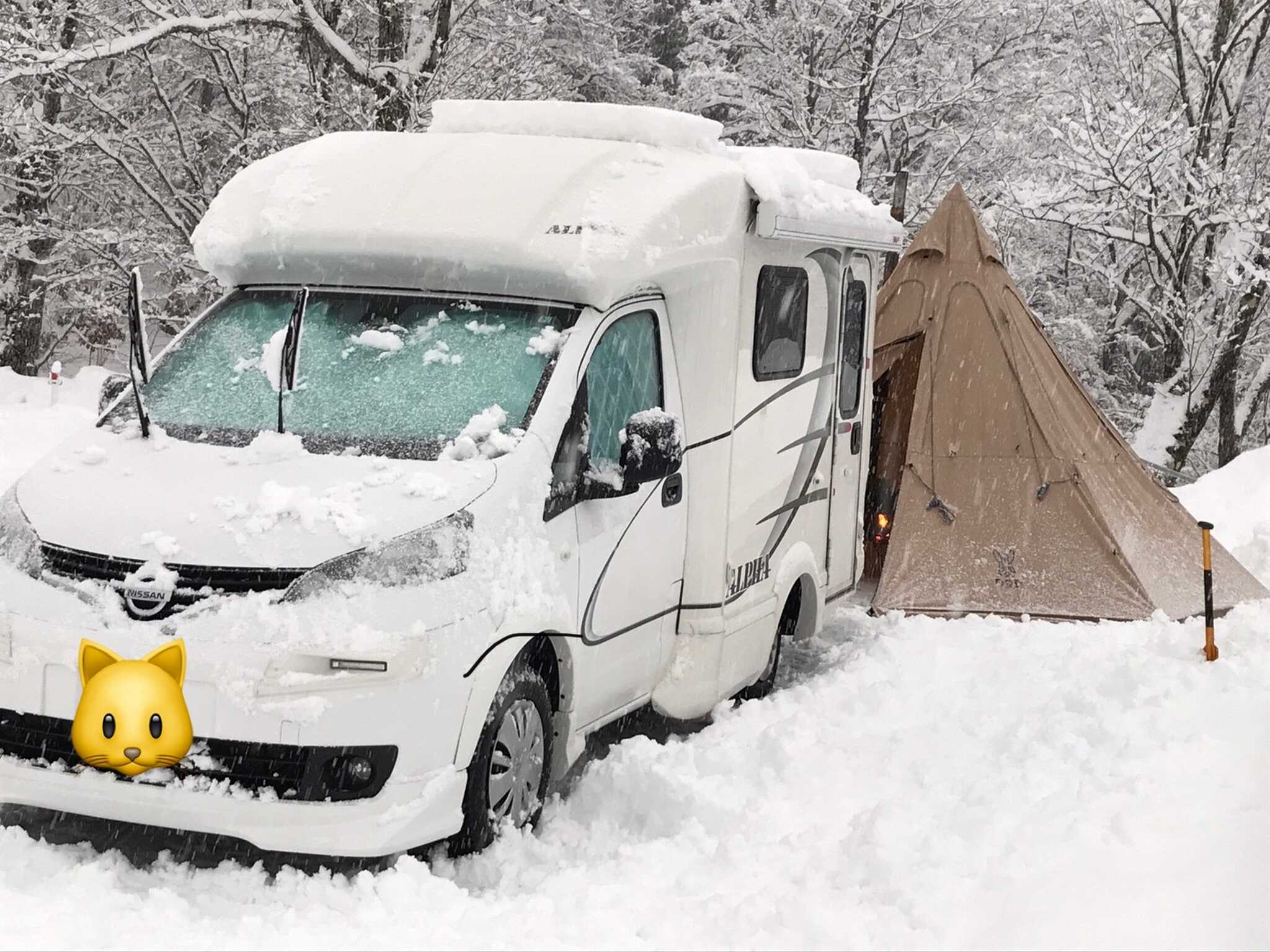 雪中が楽しい