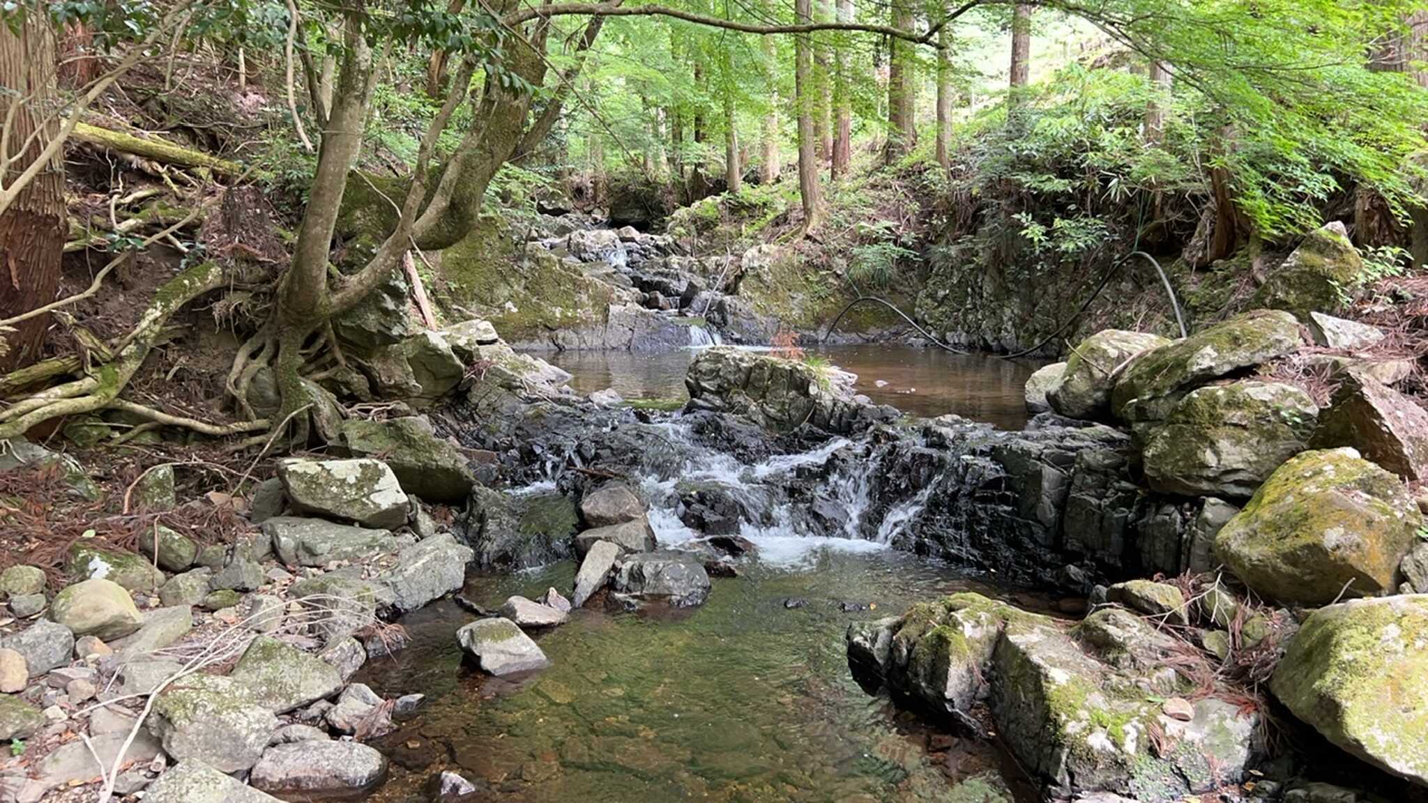 山へ