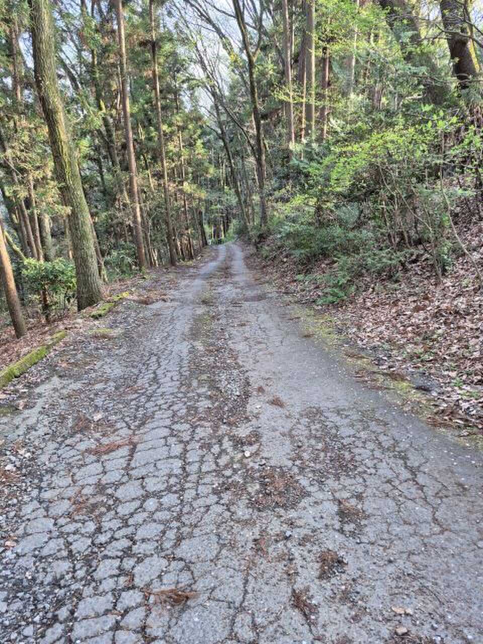 キャンプ場に入る道