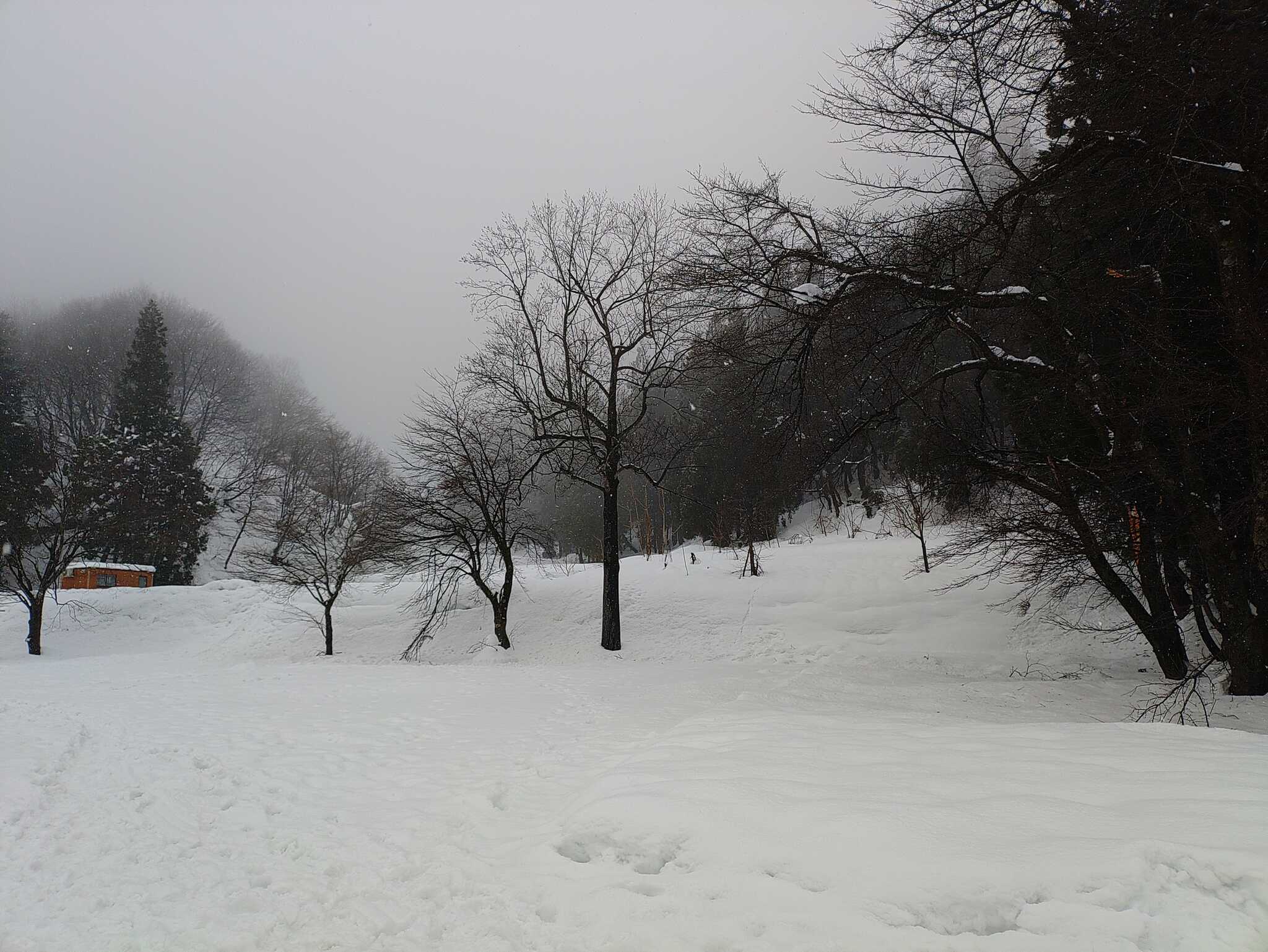 雪原学舎の写真 1枚目