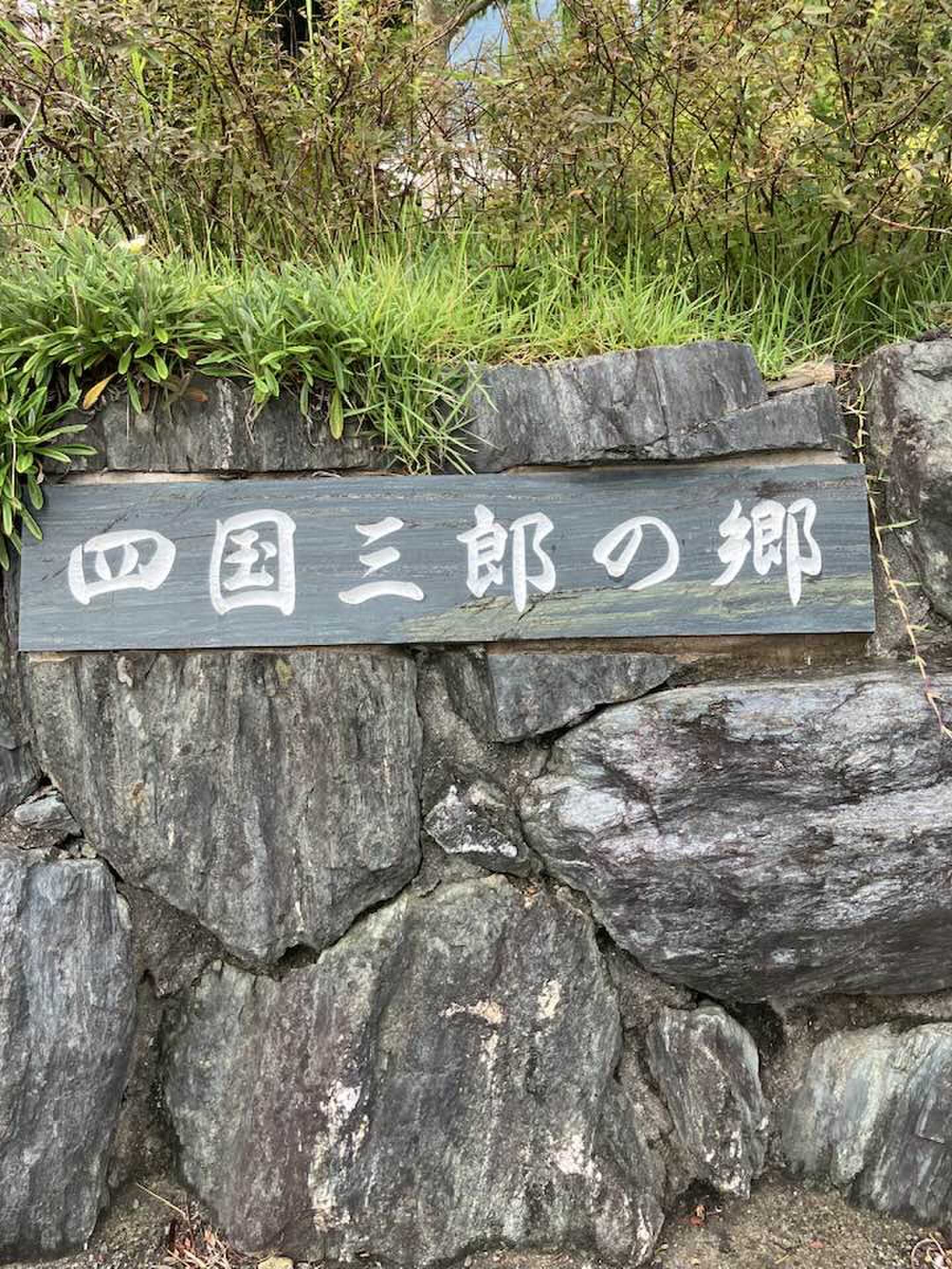 ここが入口