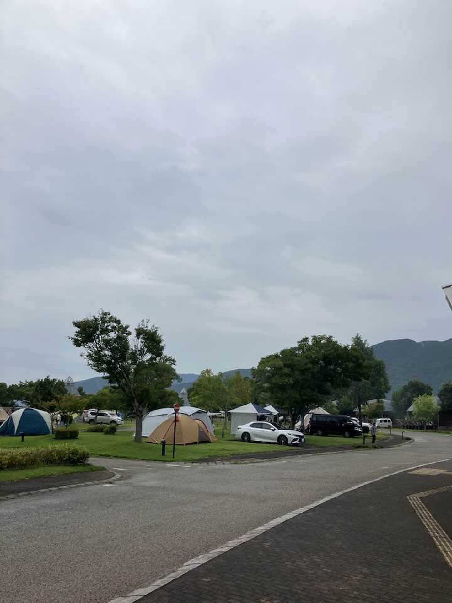 多くの家族連れやグループで賑わっている