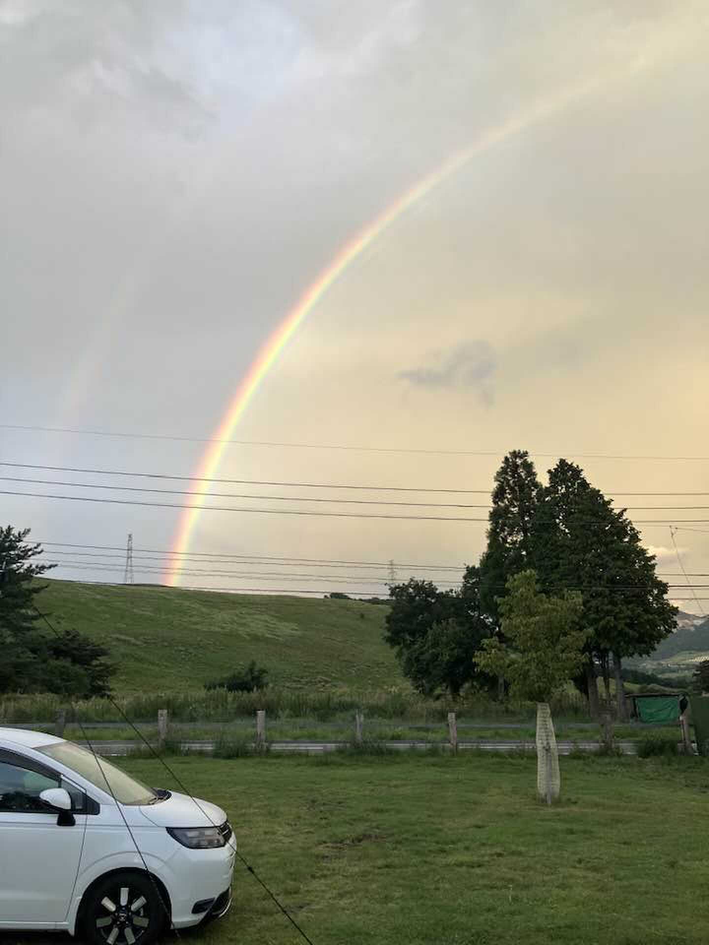 雨上がりに綺麗な虹が