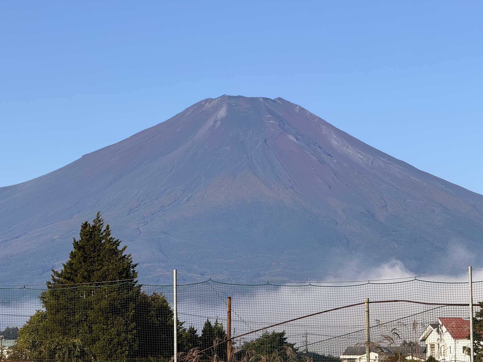 望遠写真