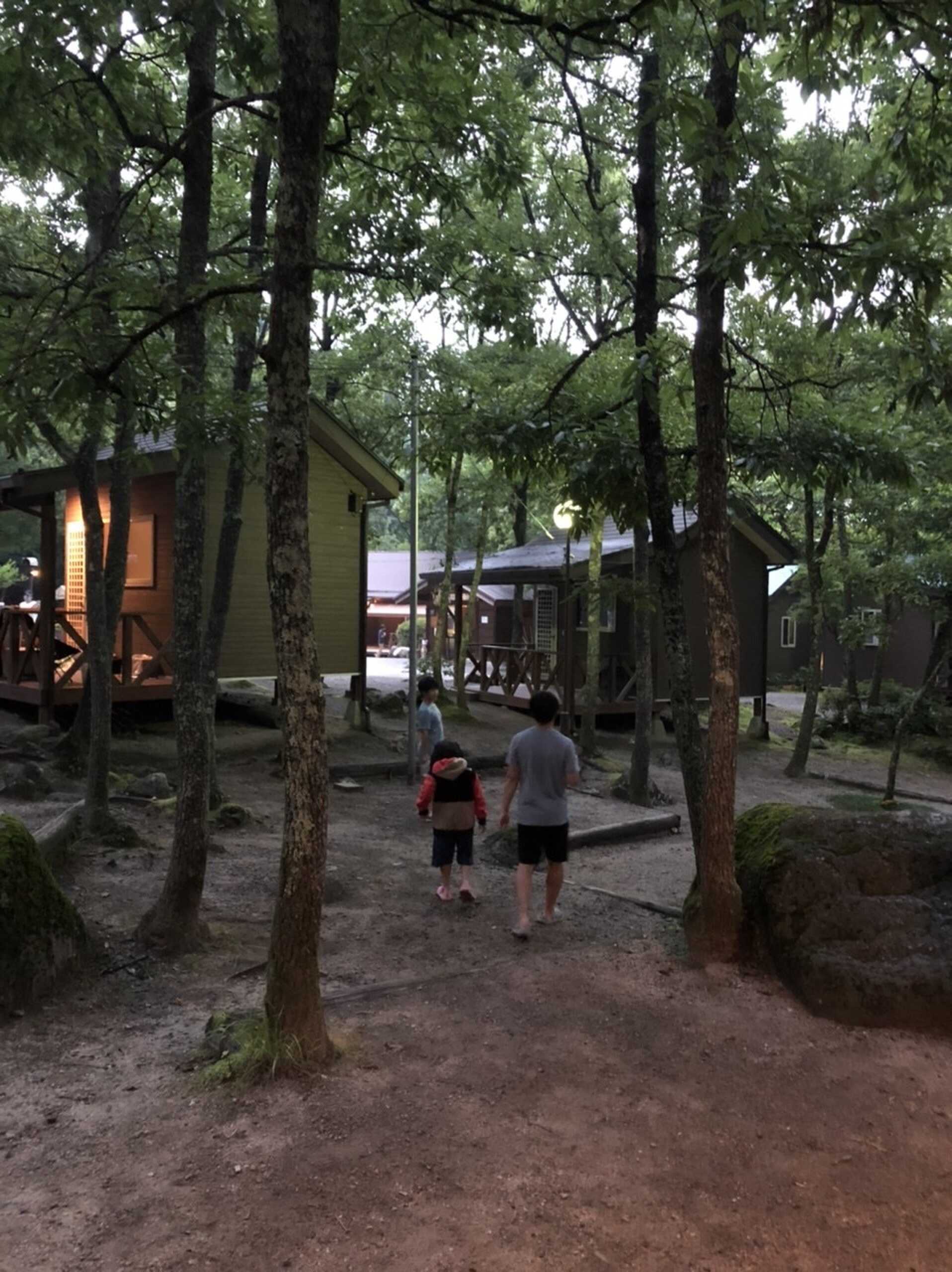 木陰は涼しい