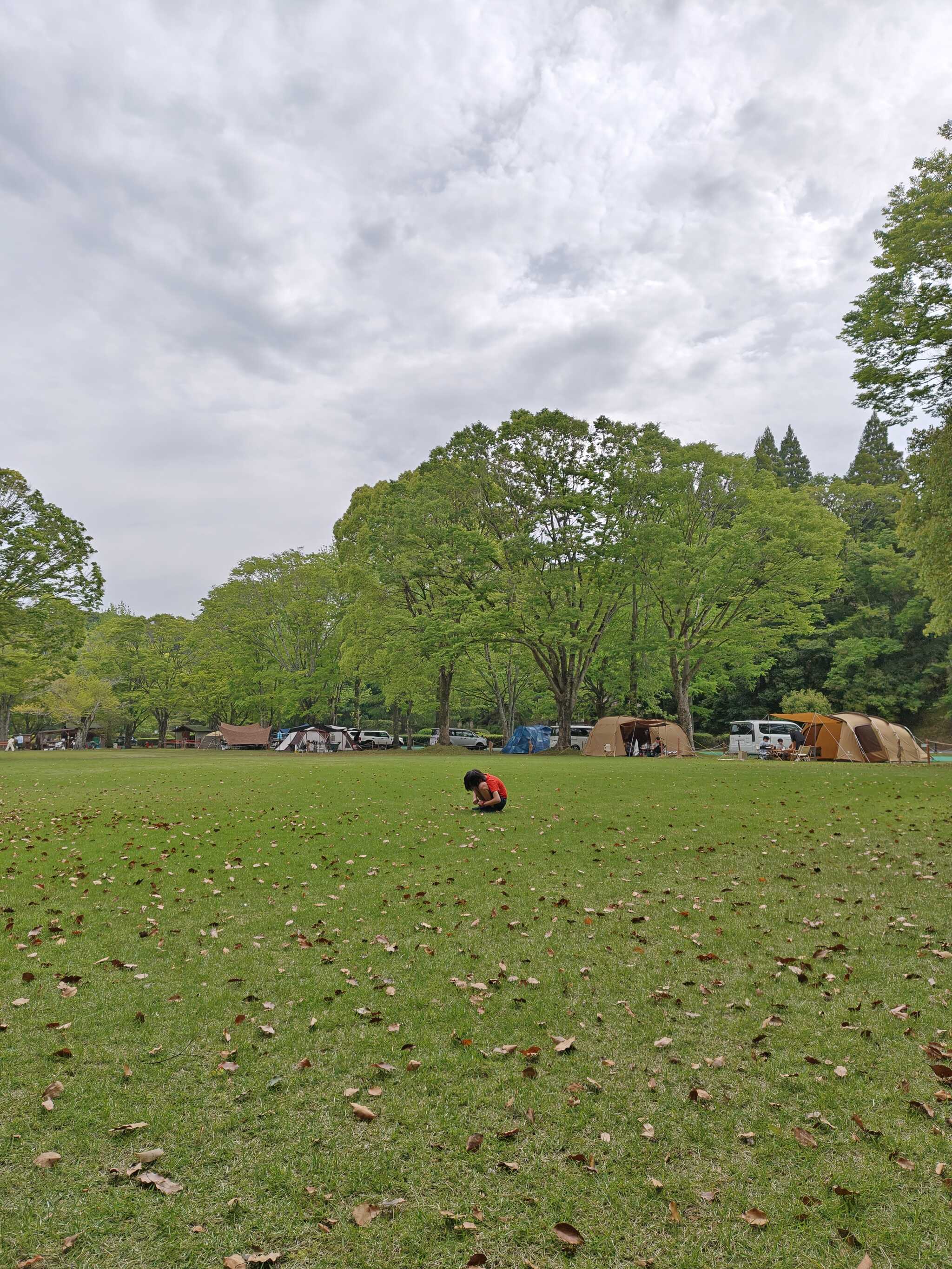 キャンプ場広場の様子