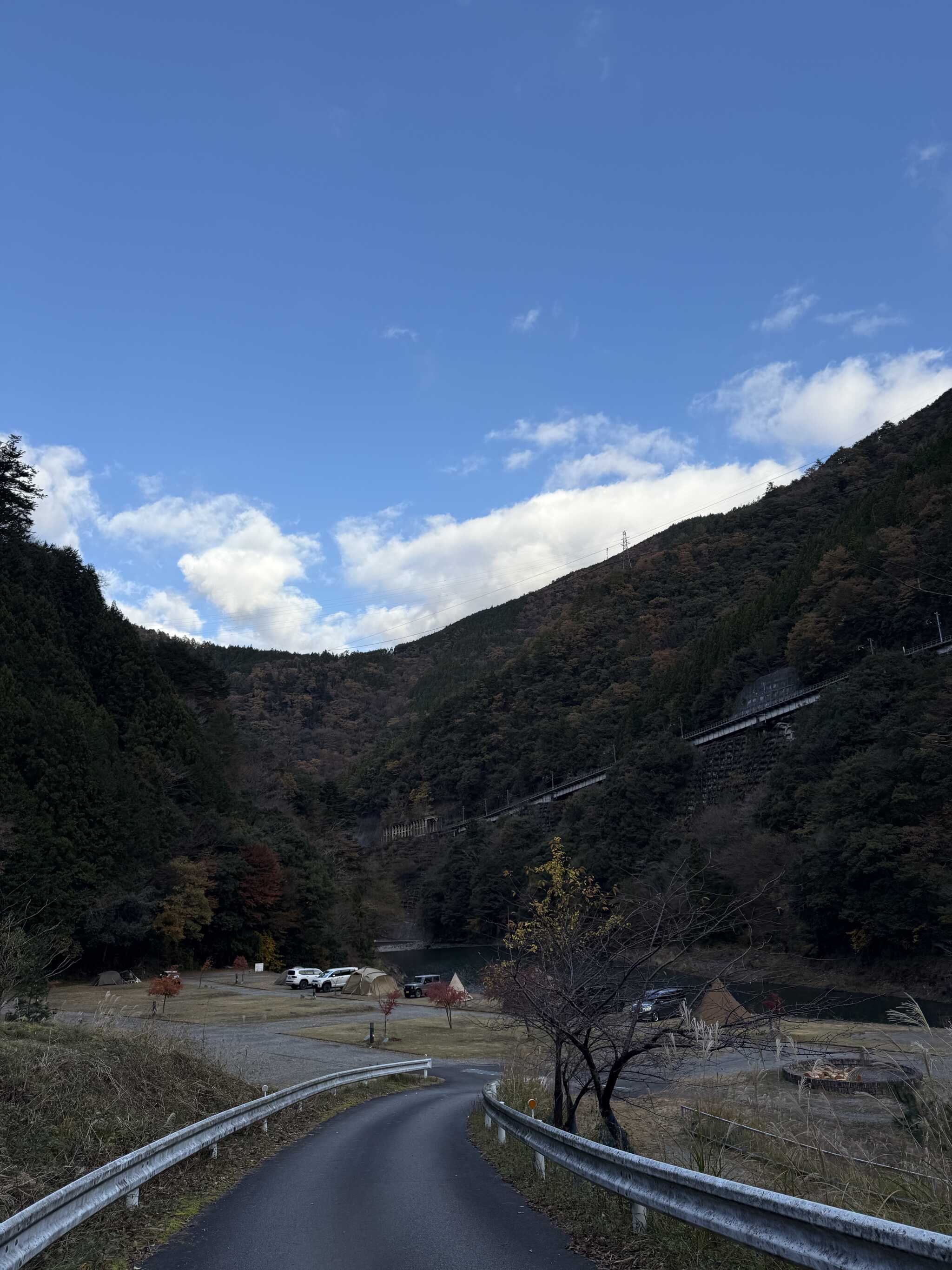 サイトの様子です