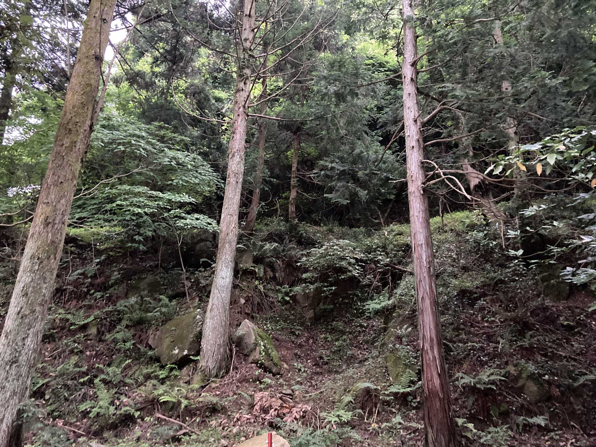 Aサイト山側風景1