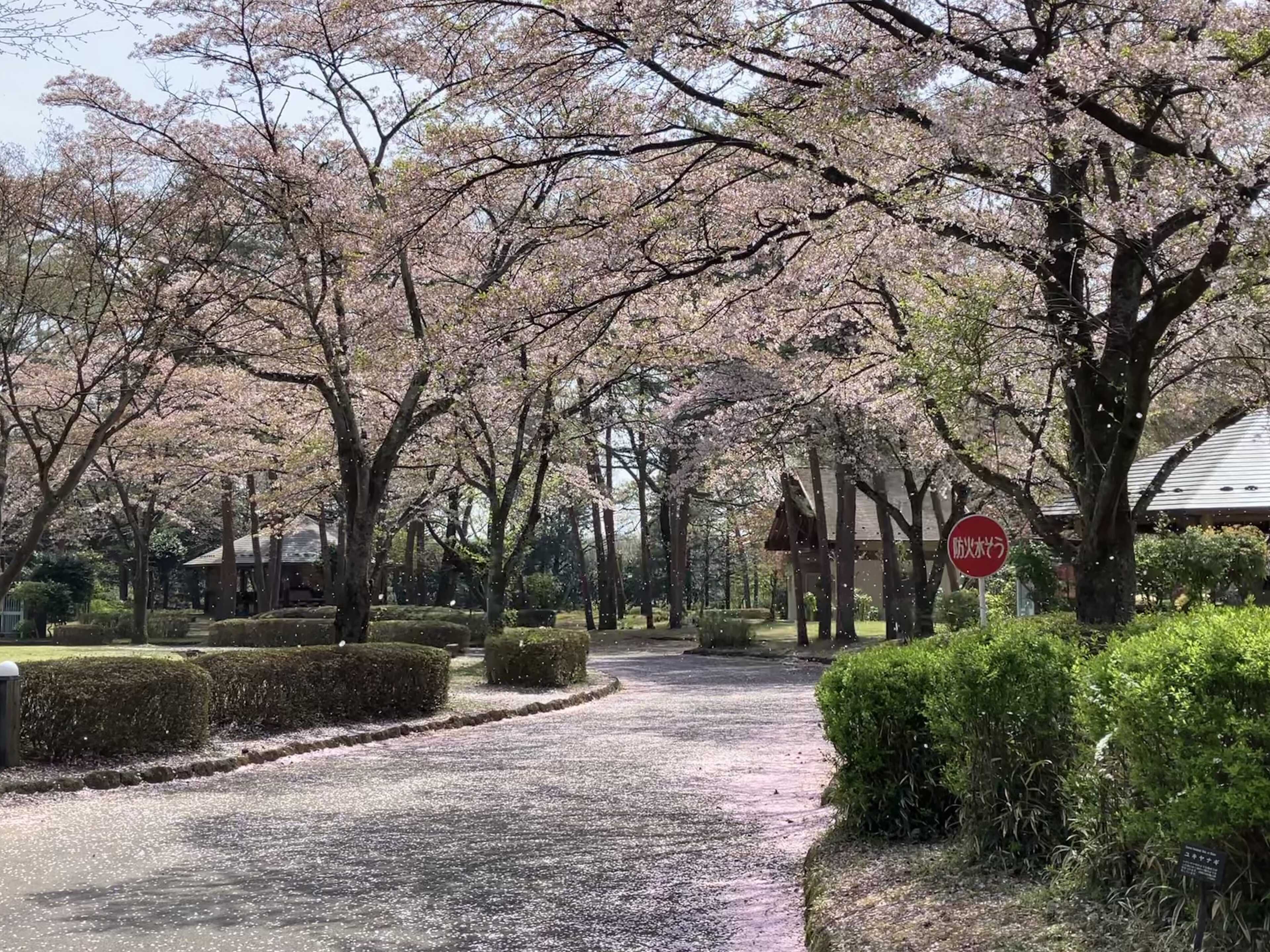 那須野が原公園オートキャンプ場の写真 3枚目