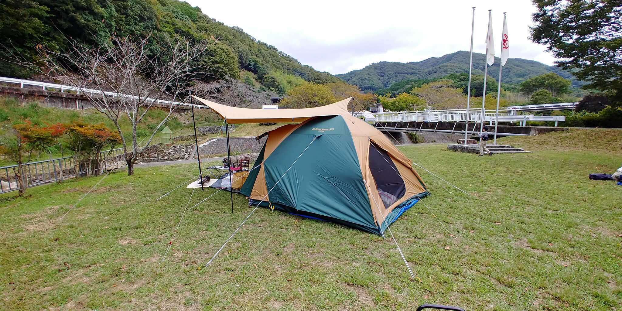我流張り
