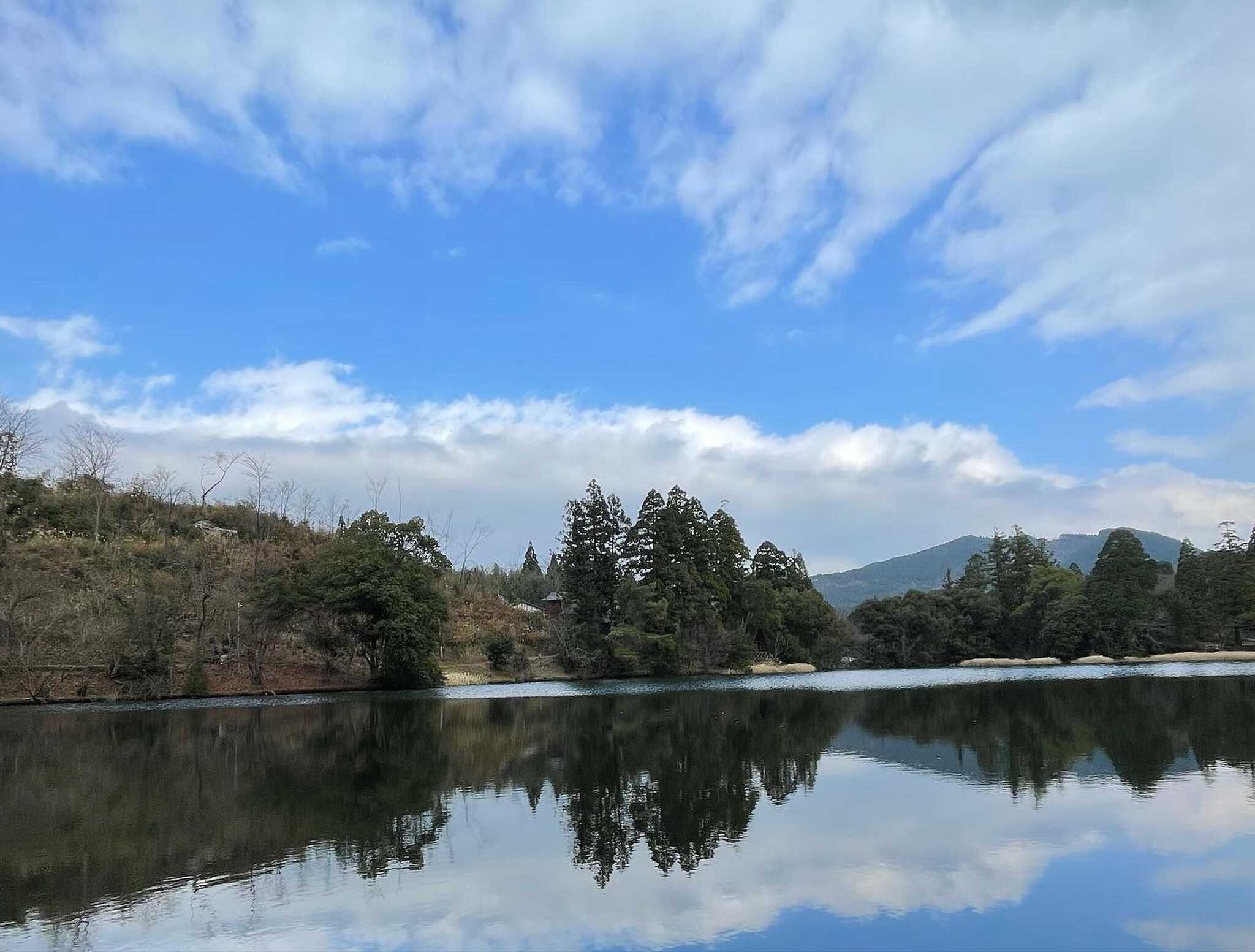 池の景色