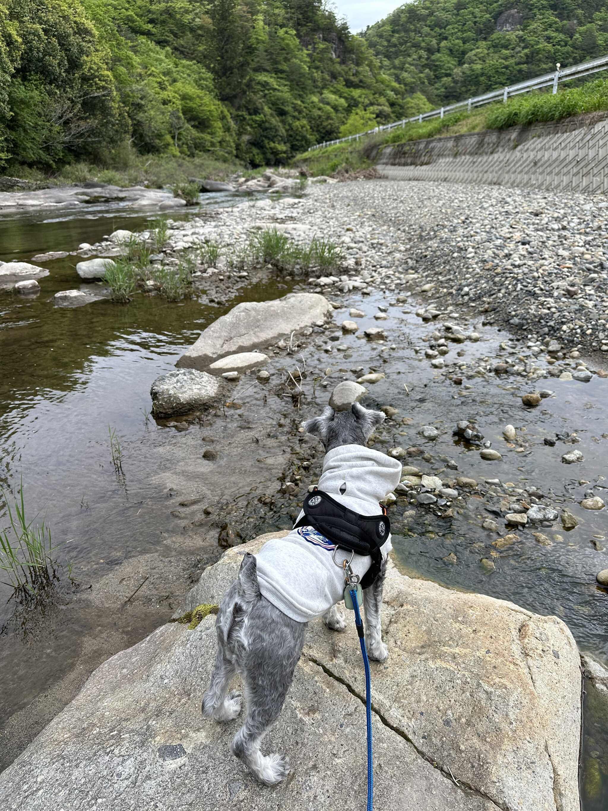 川で散歩