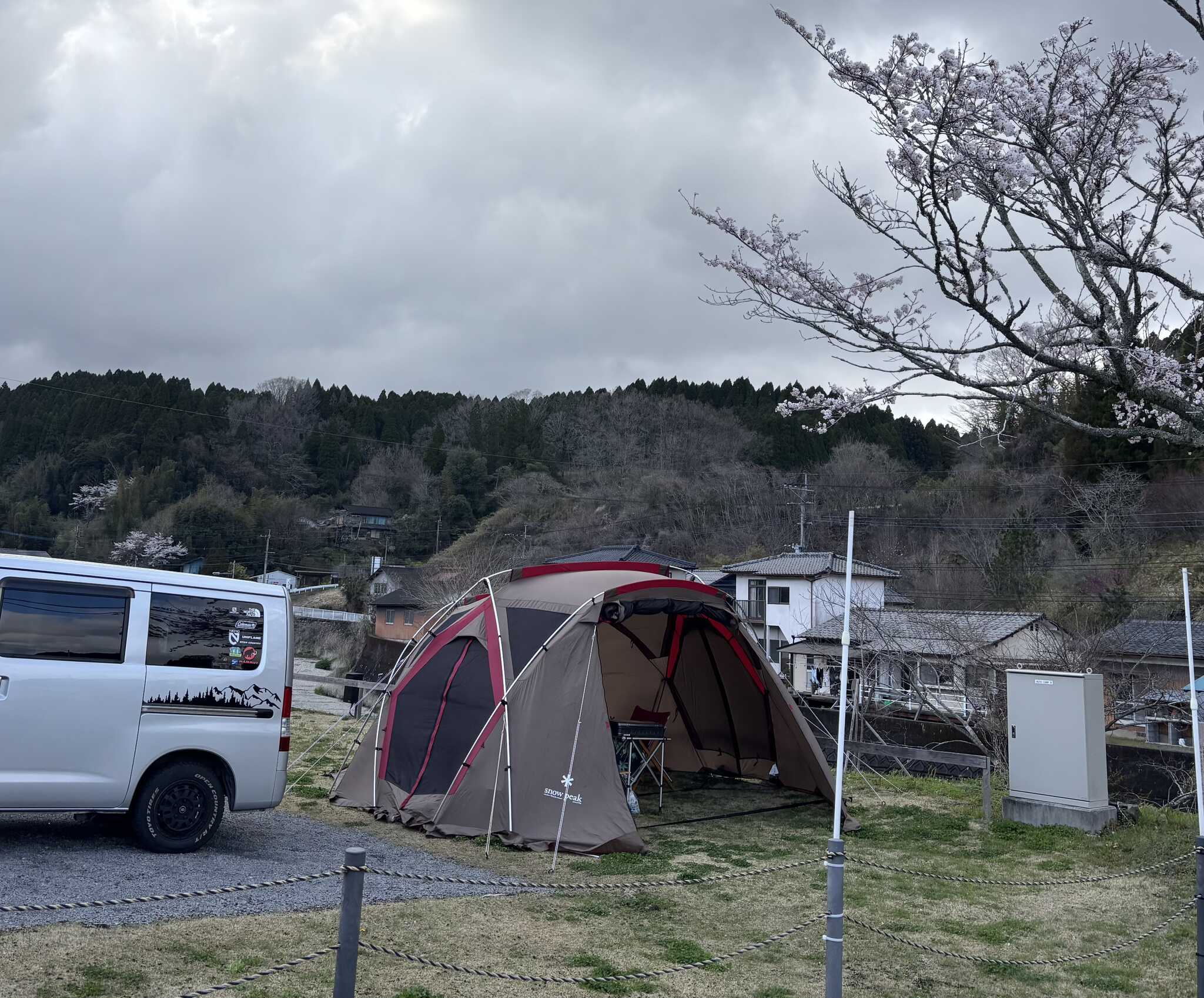 桜がキレイ