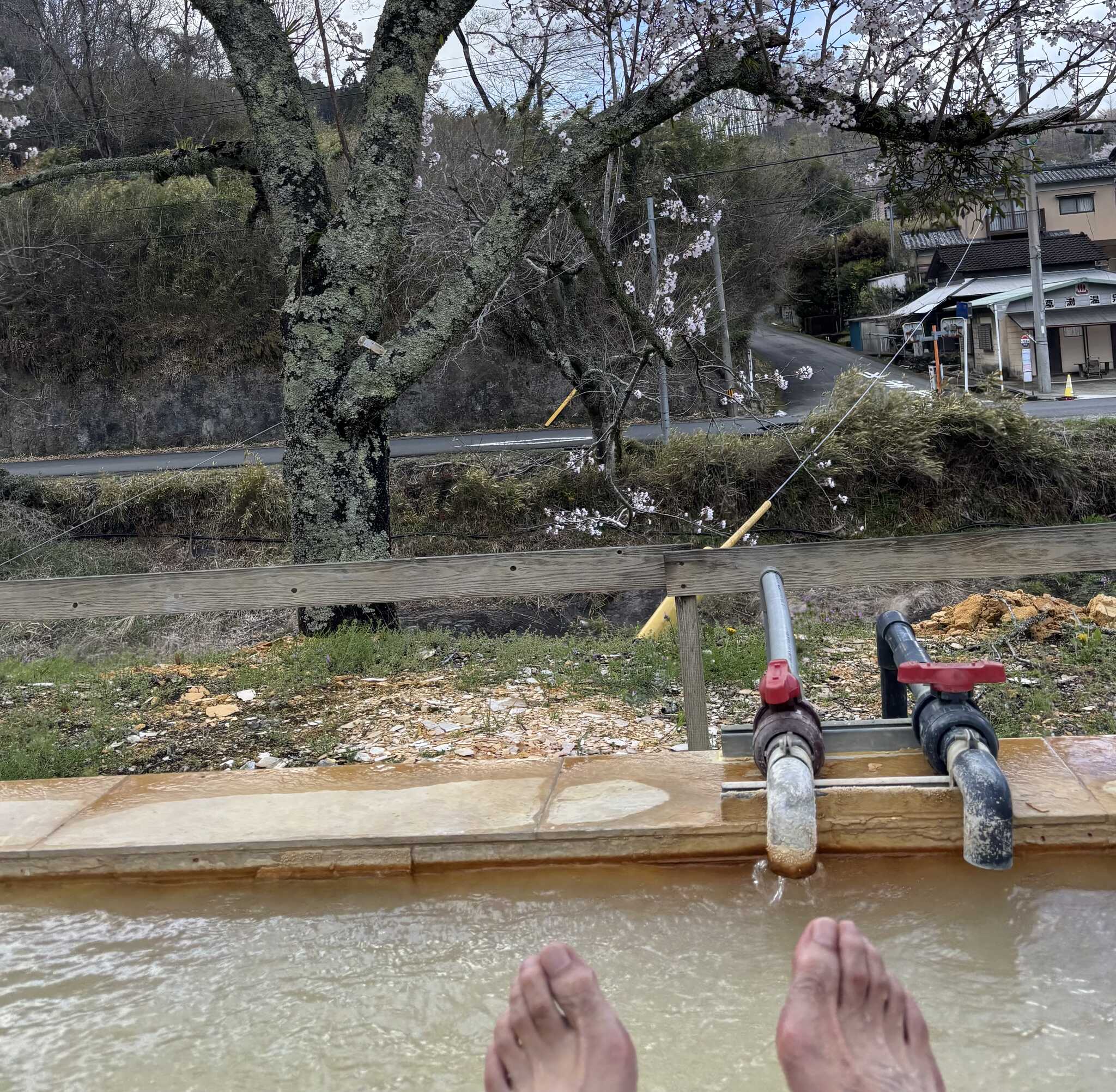 足湯最高!