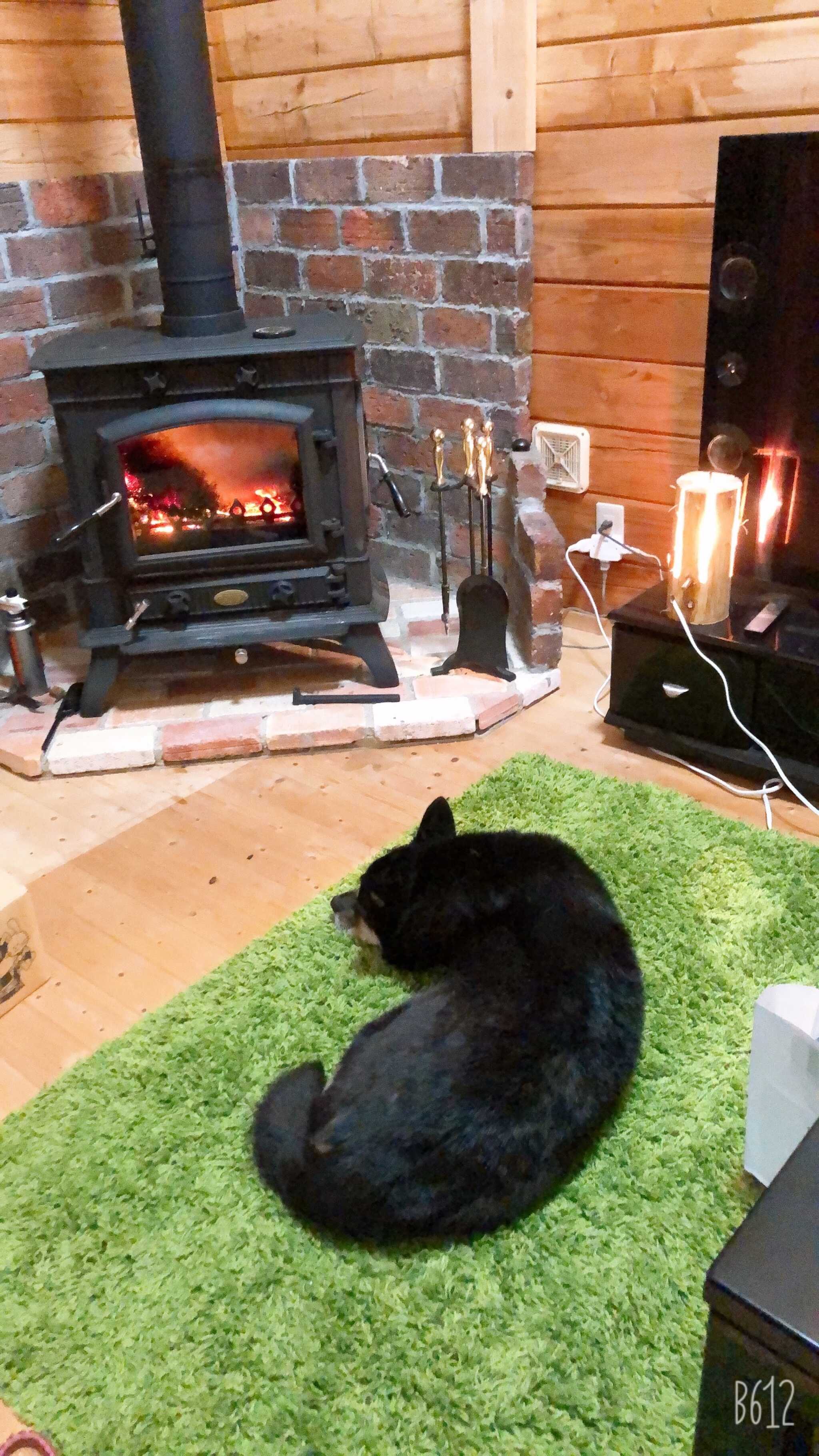 コテージで暖をとる愛犬
