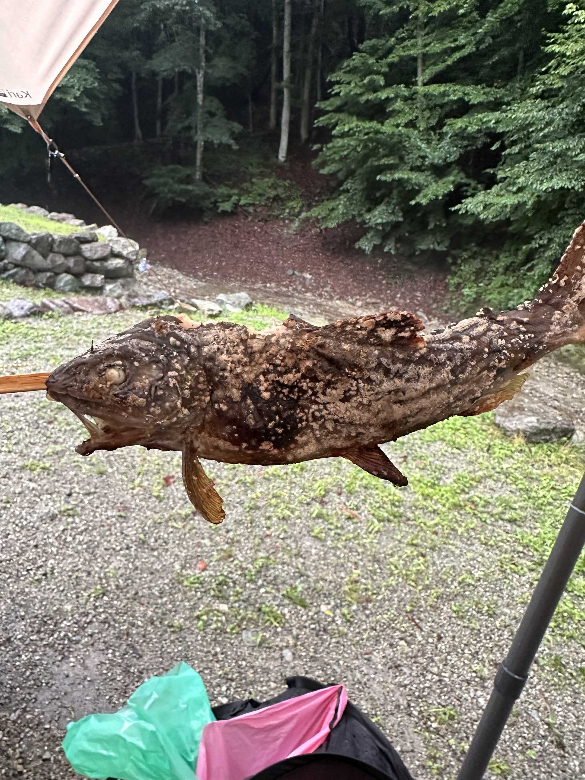 ヤマメを塩焼きにして頂きました