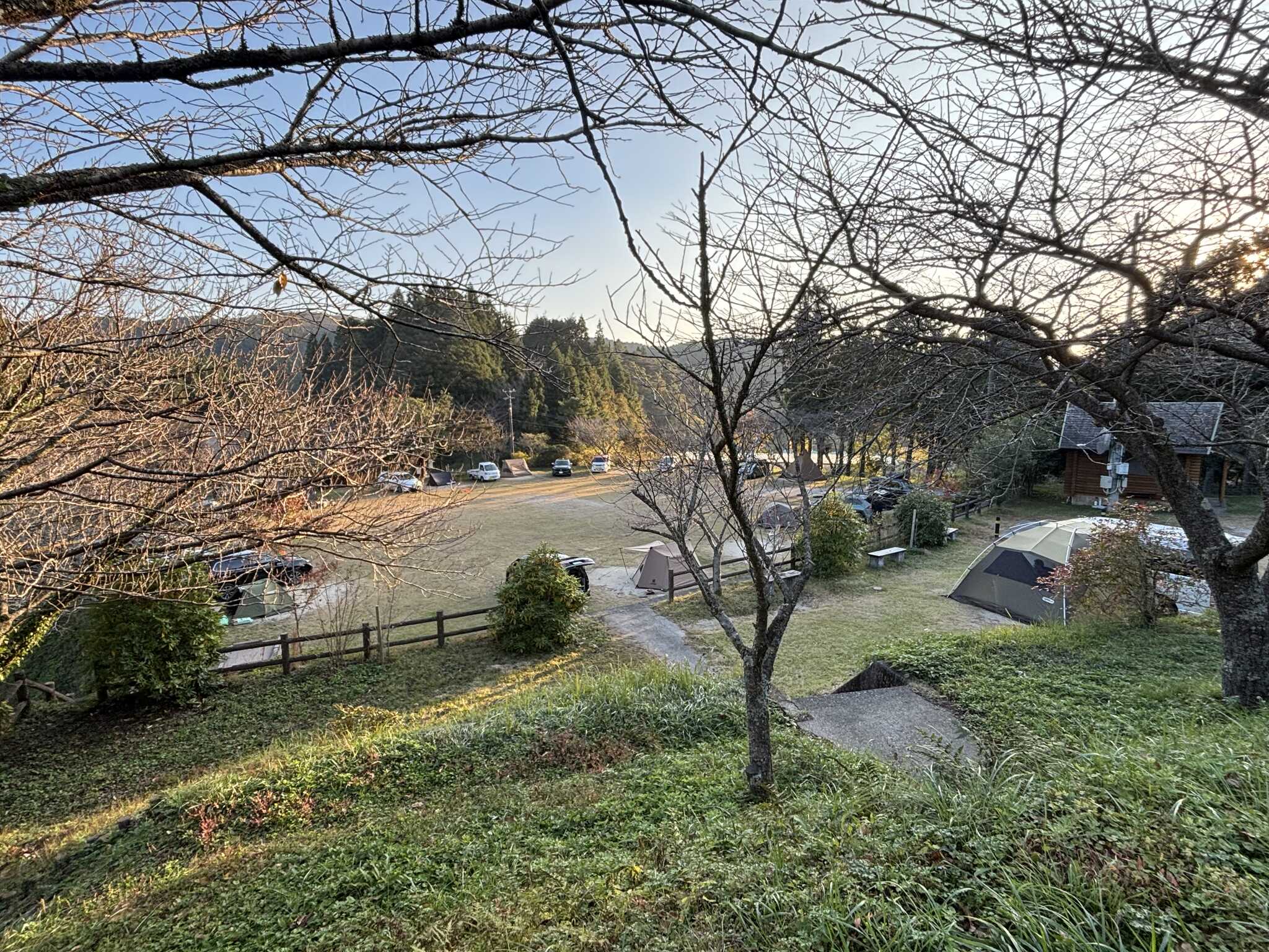 キャンプ広場