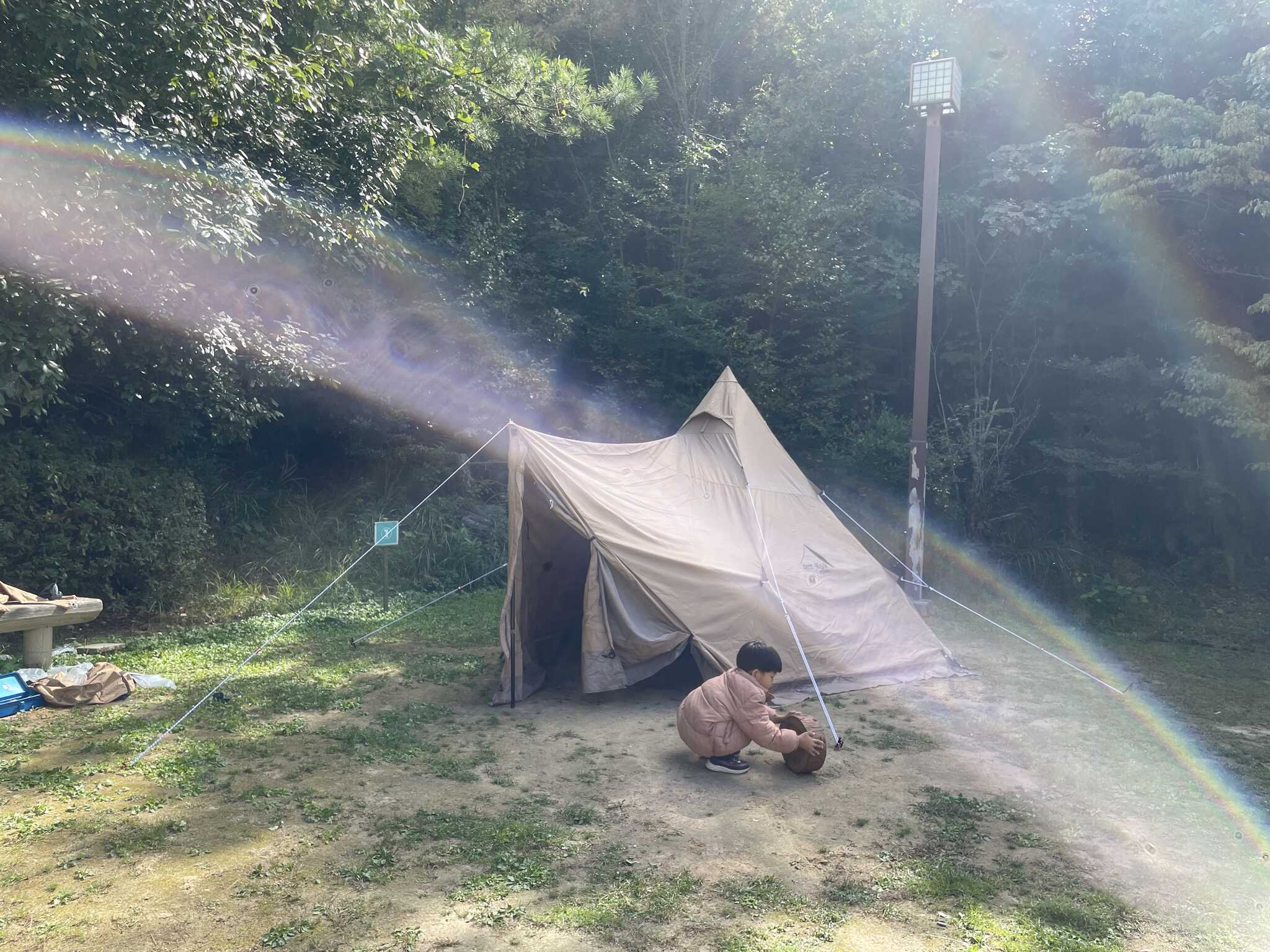 サイト写真