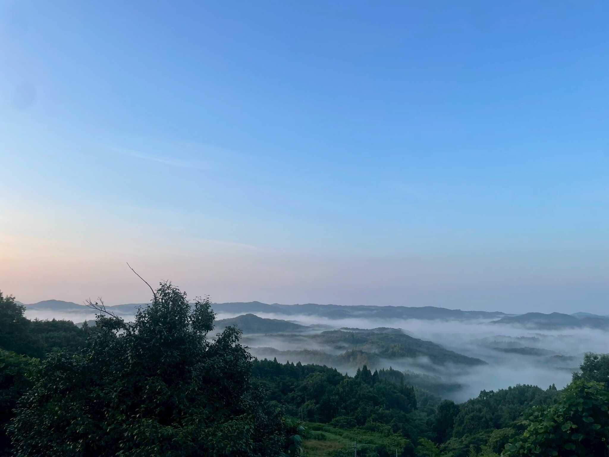雲海