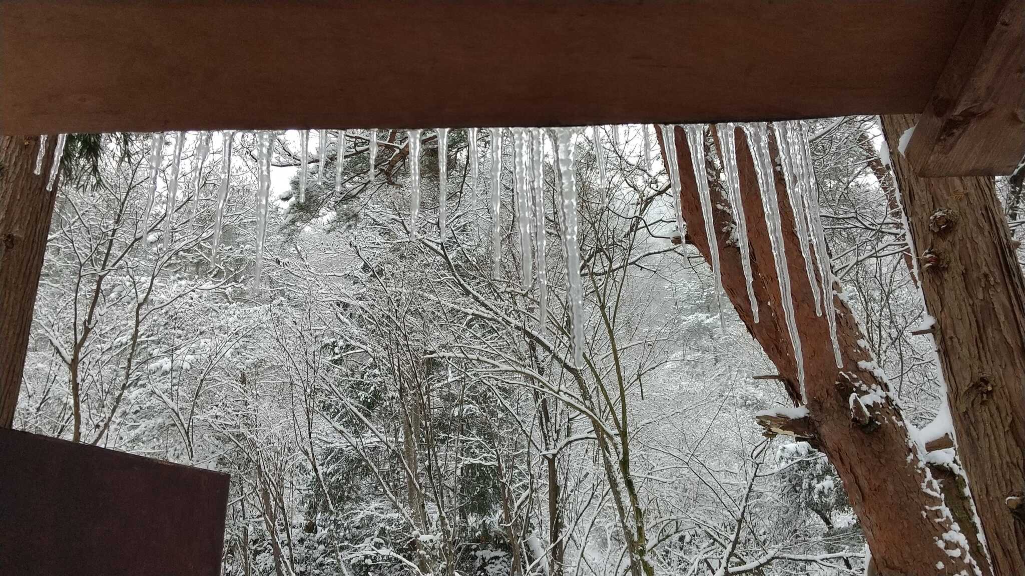 雪中キャンプ小屋からの眺め