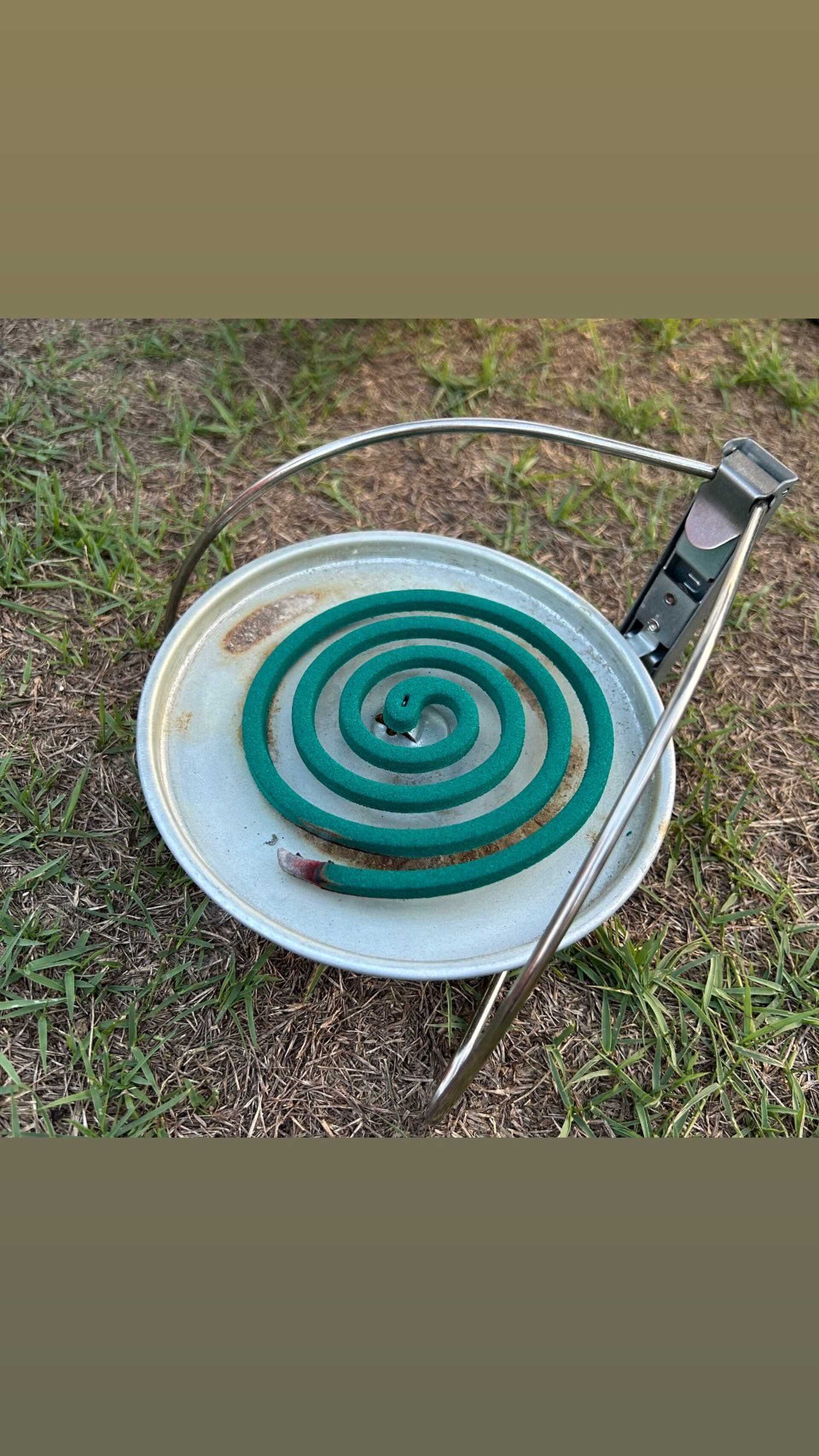 この時期は必要