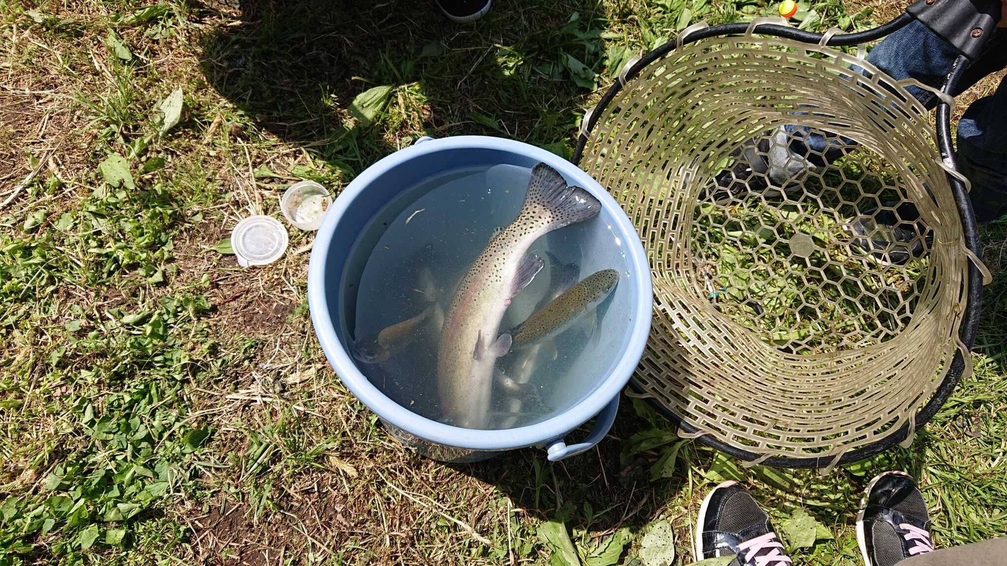 近くの釣り堀で大物ゲット
