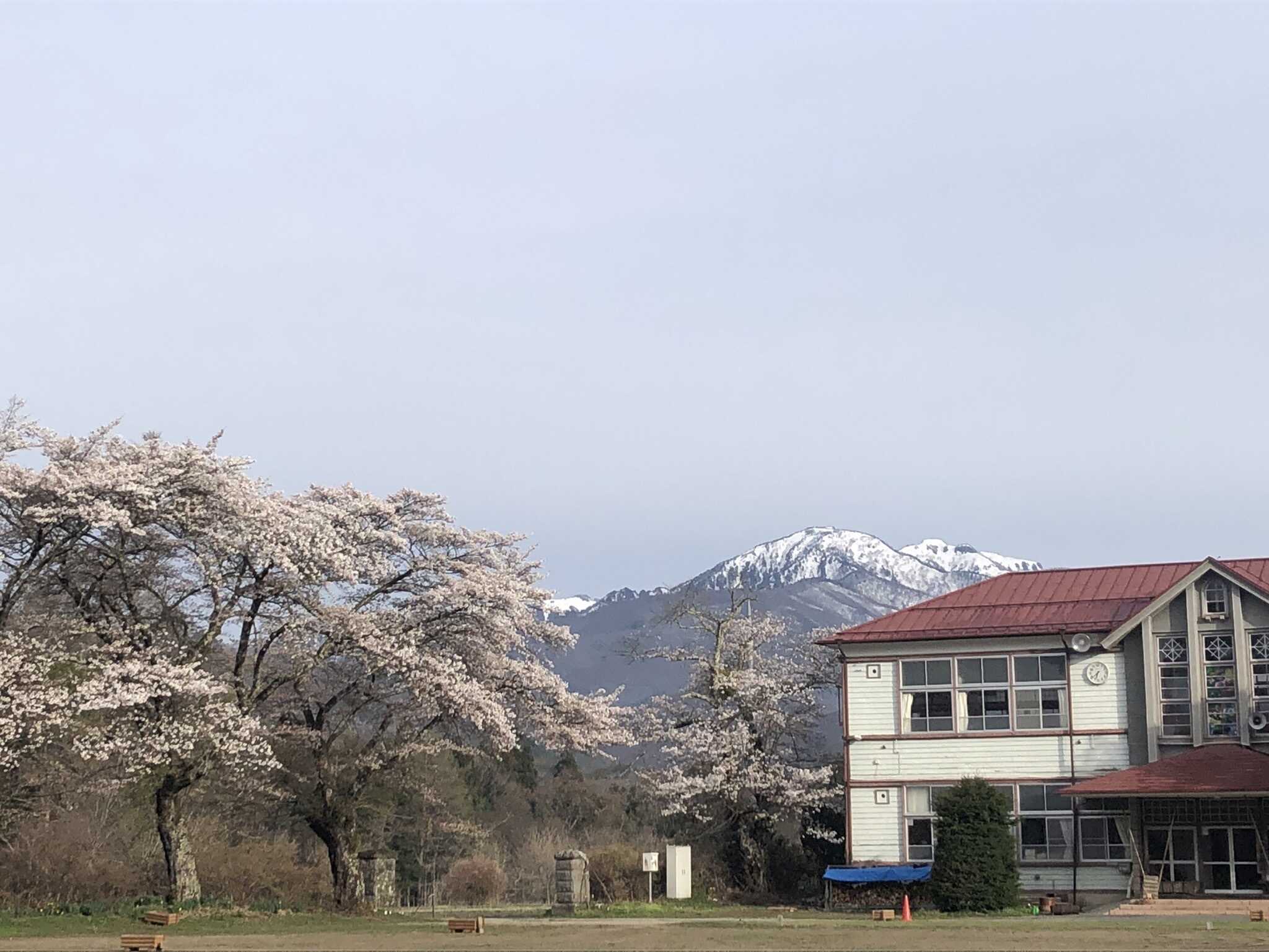 木造校舎に桜に雪の残る山、ノスタルジックな景色